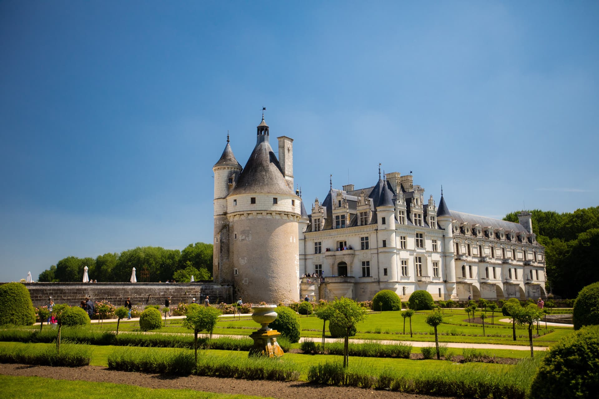 Loire Valley Tour from Paris: Chambord, Chenonceau, and Cheverny Castles - imagen 14