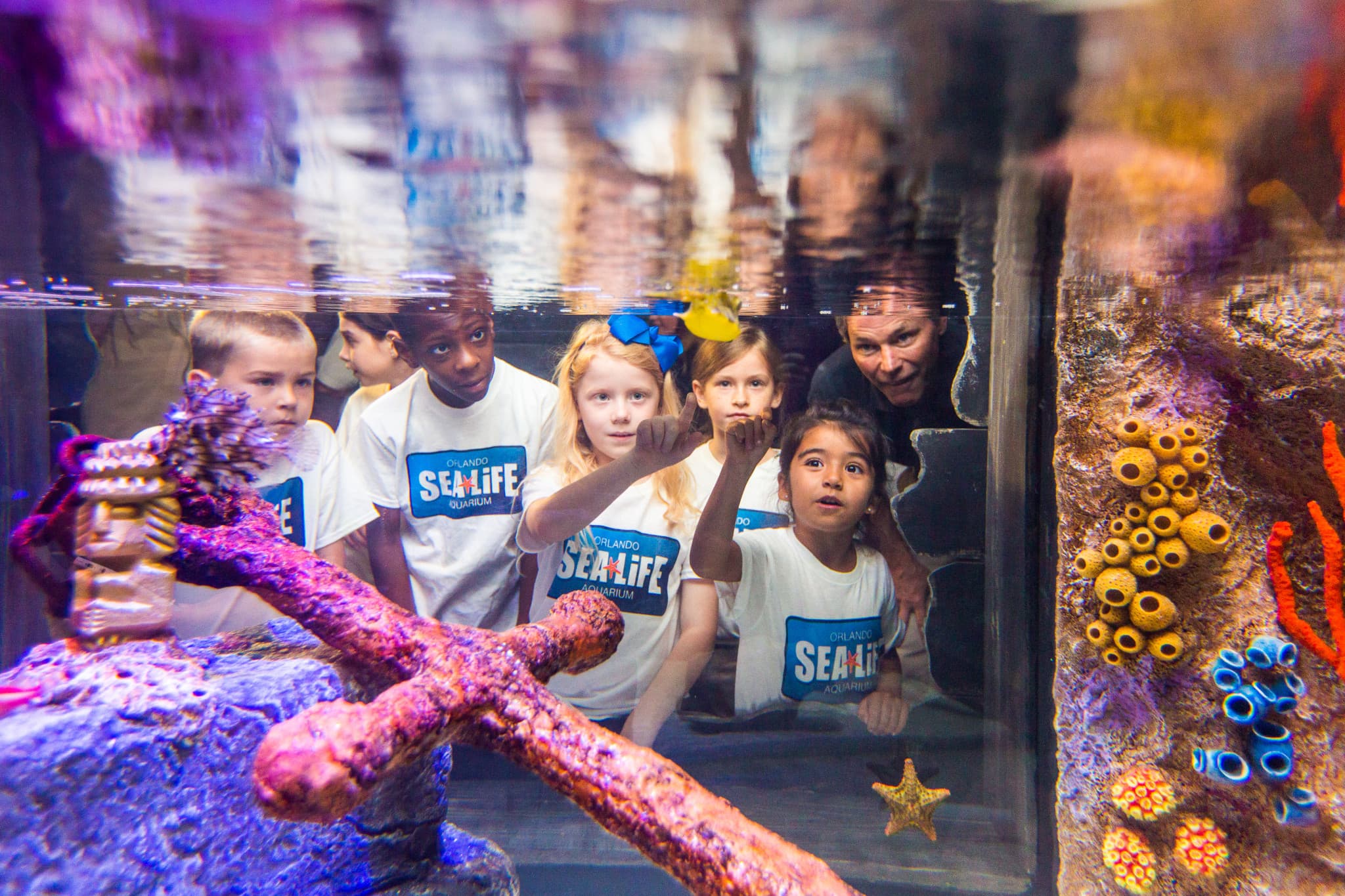 Go City Orlando All-Inclusive Pass: Save up to 50% on Attractions - image 25