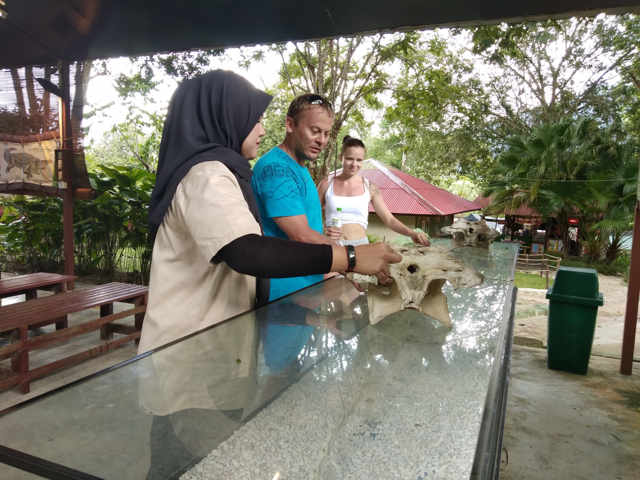 Crocodile Adventureland Langkawi - image 11