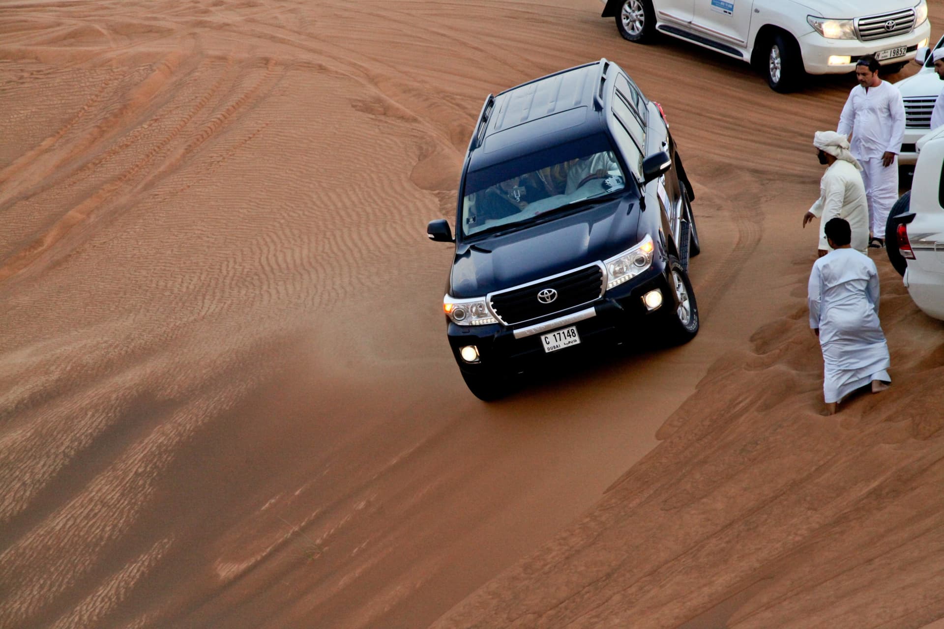 Liwa Desert Safari Tour - imagen 5