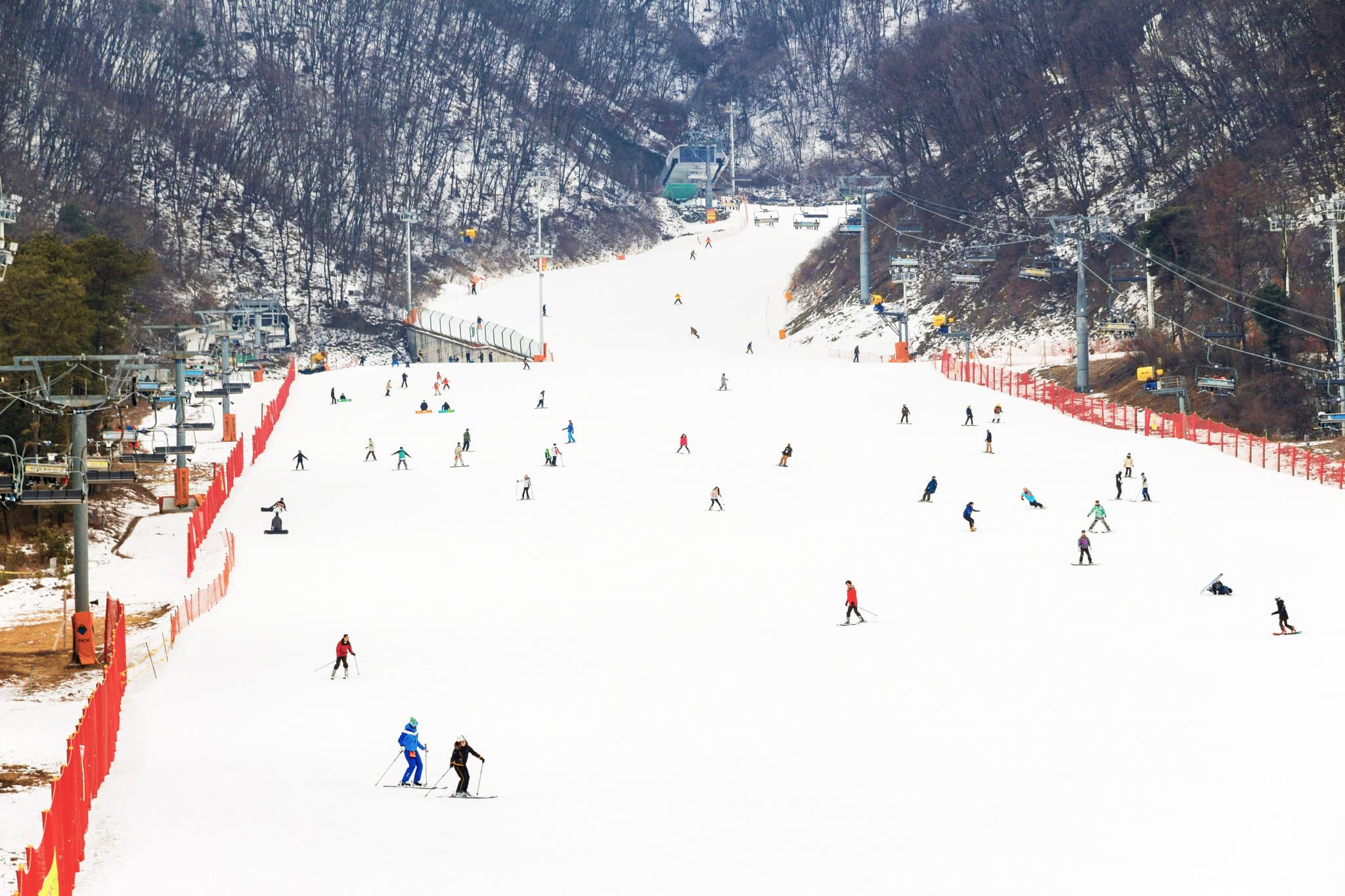 Jisan Forest Ski Resort Full-Day Tour from Seoul - main image