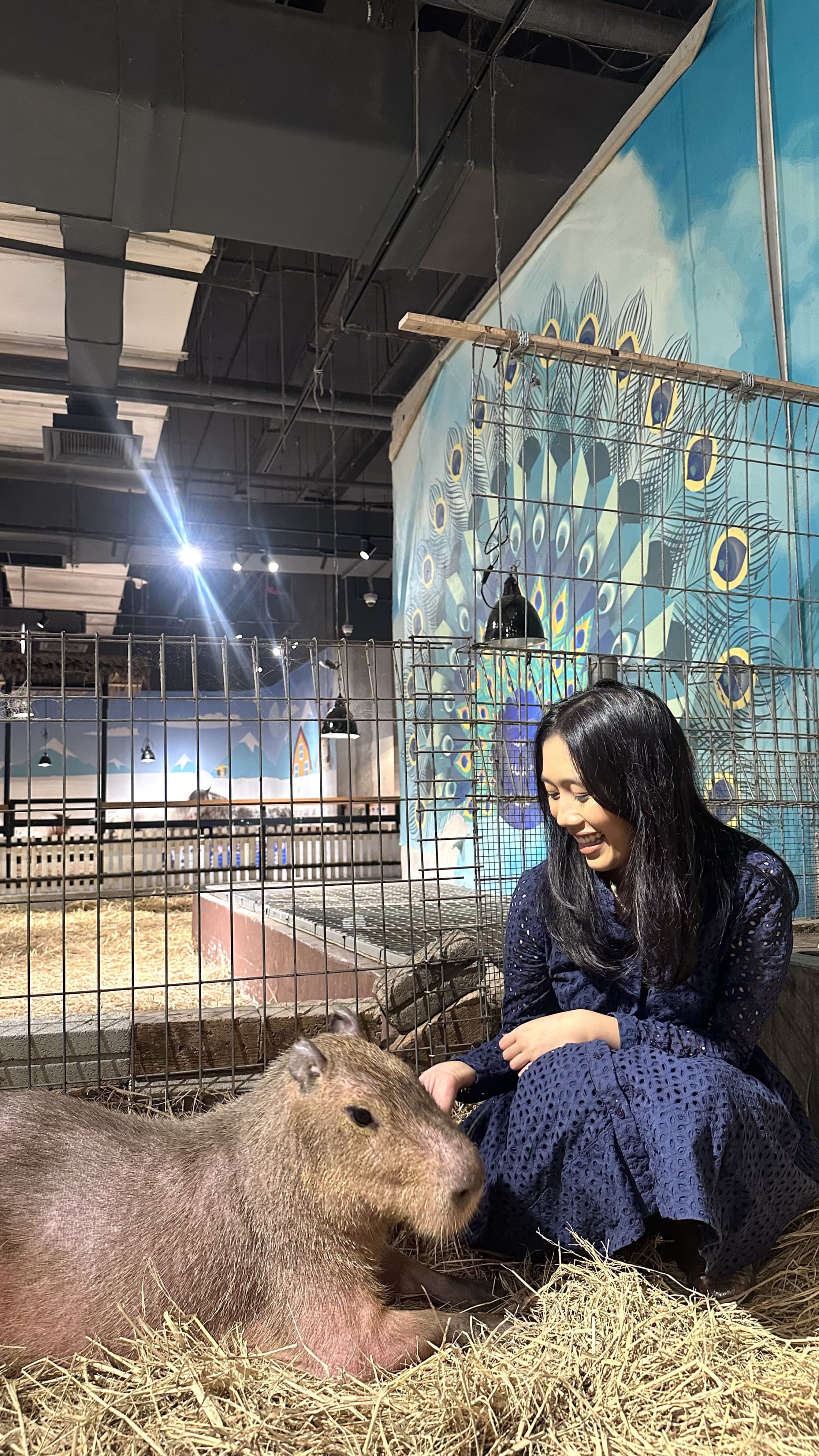 Just Farm Indoor Zoo Kuala Lumpur  (Previously Known As Just Pets Megastore) - image 3