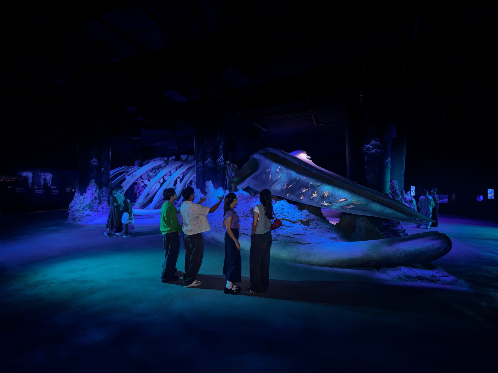 Singapore Oceanarium Ticket - image 7