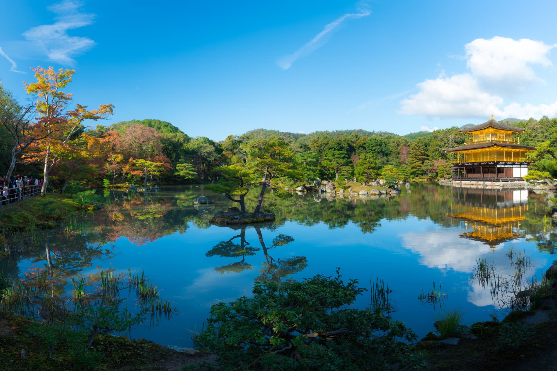 Kyoto and Nara Full-Day Tour from Kyoto - imagen principal
