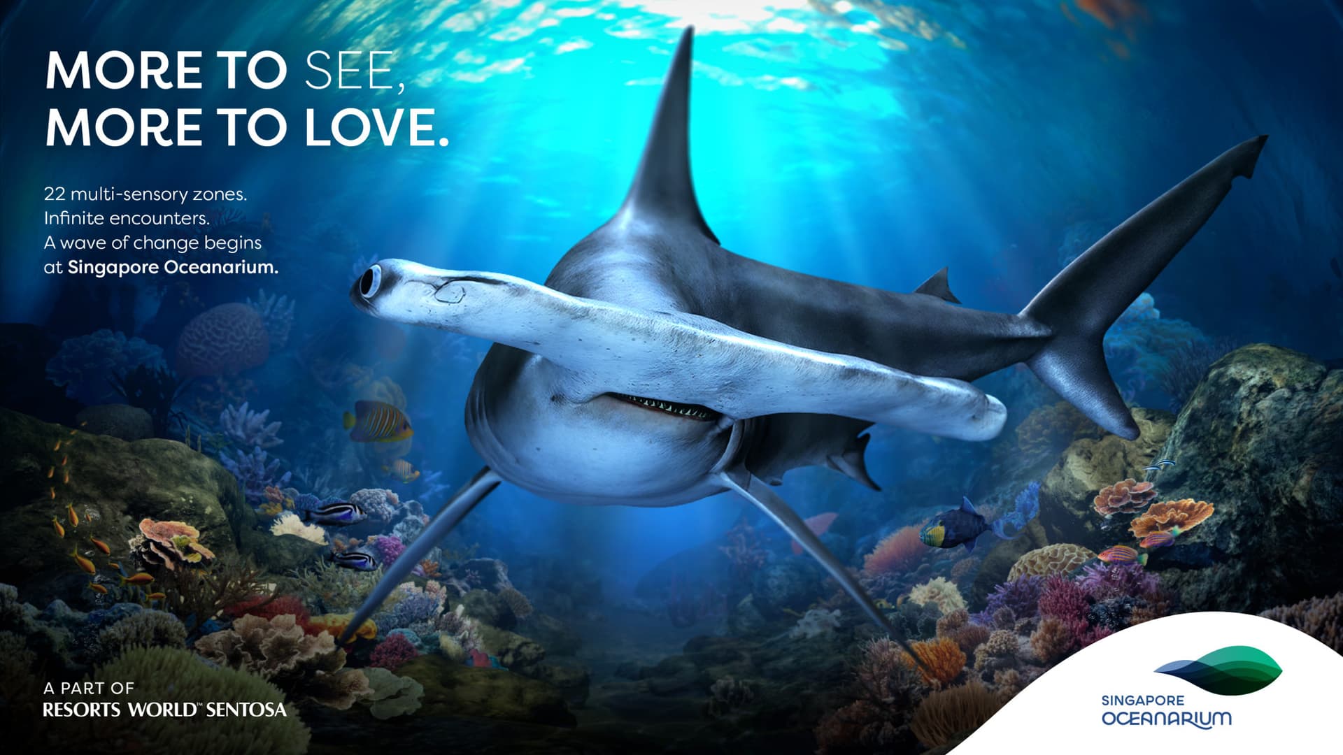 COMBO: Singapore Cable Car + Singapore Oceanarium + Albatross Hop-On Hop-Off Speedboat Tickets - image 5