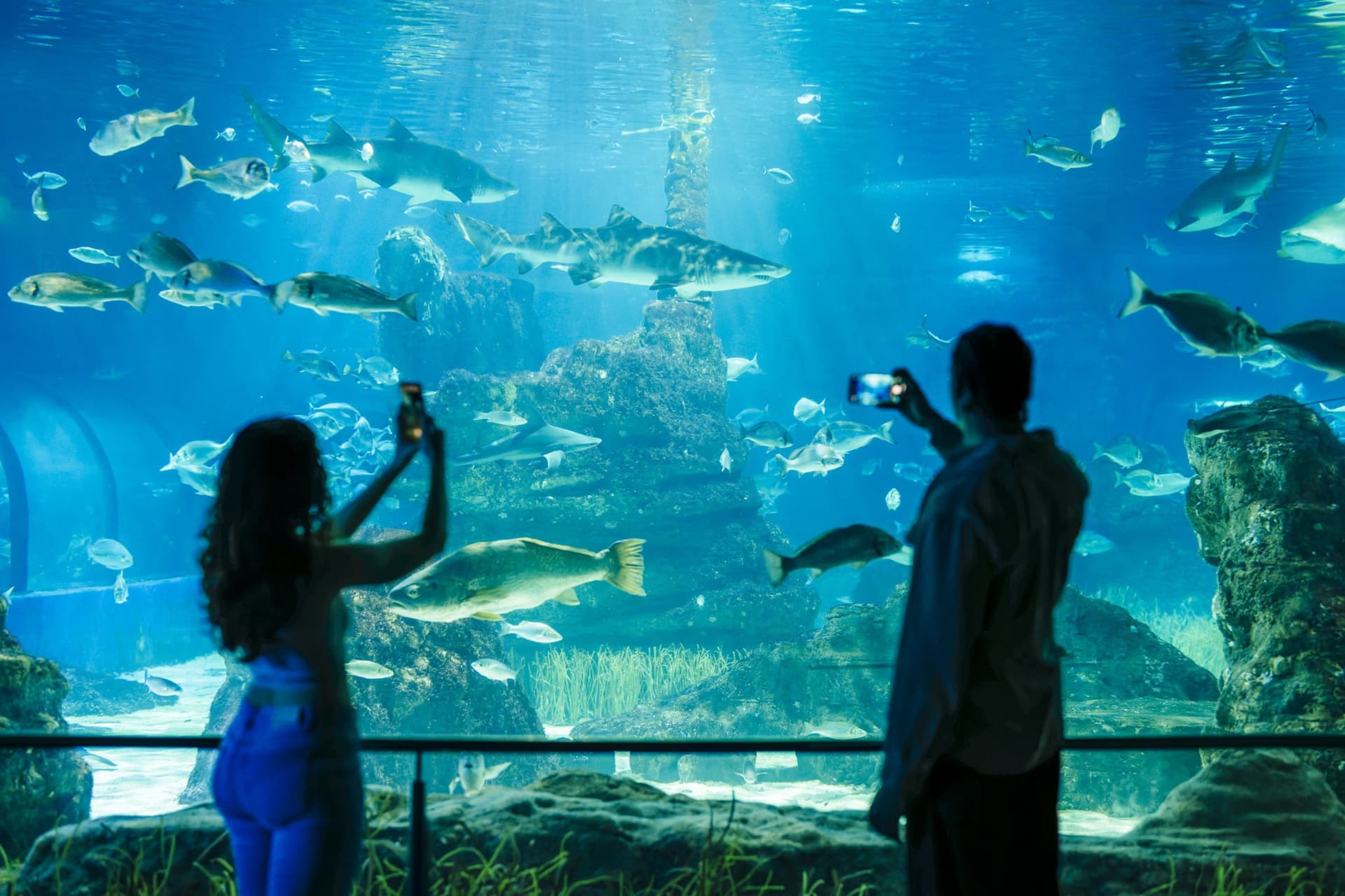 Entrada para el Acuario de Barcelona - imagen 9