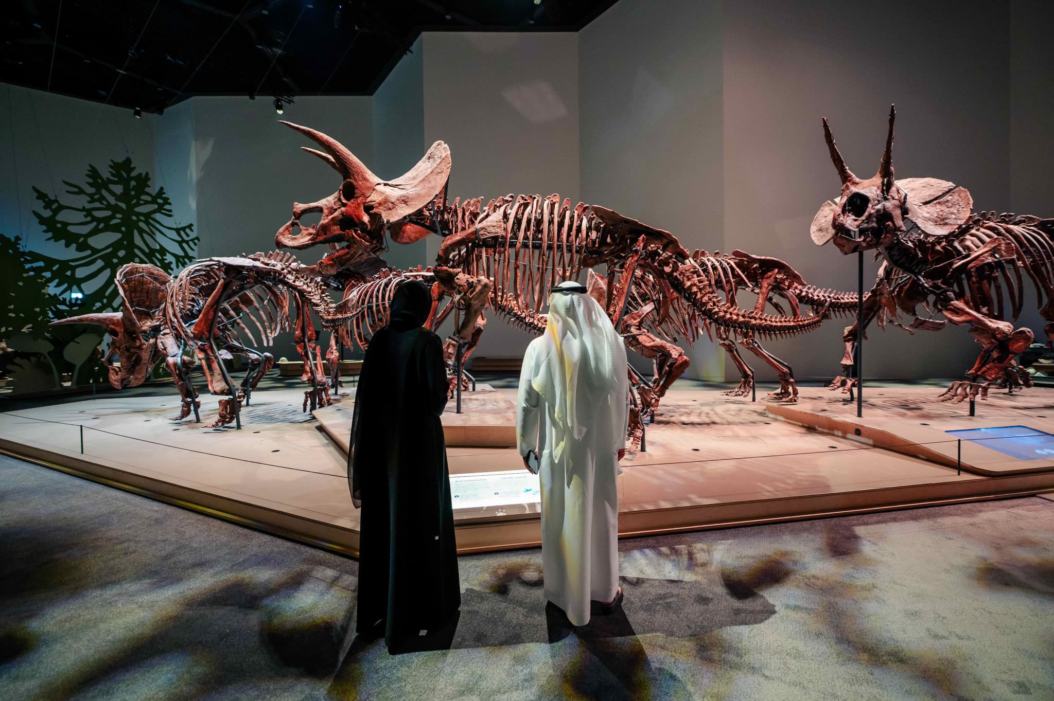 Museum Pass: Zayed National Museum + Natural History Museum + Louvre Abu Dhabi Tickets - image 6