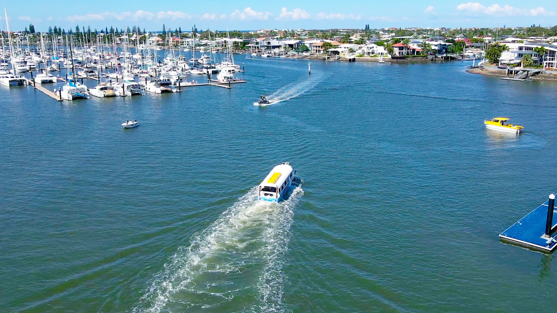 Aquaduck Sunshine Coast City and River Tour - image 11