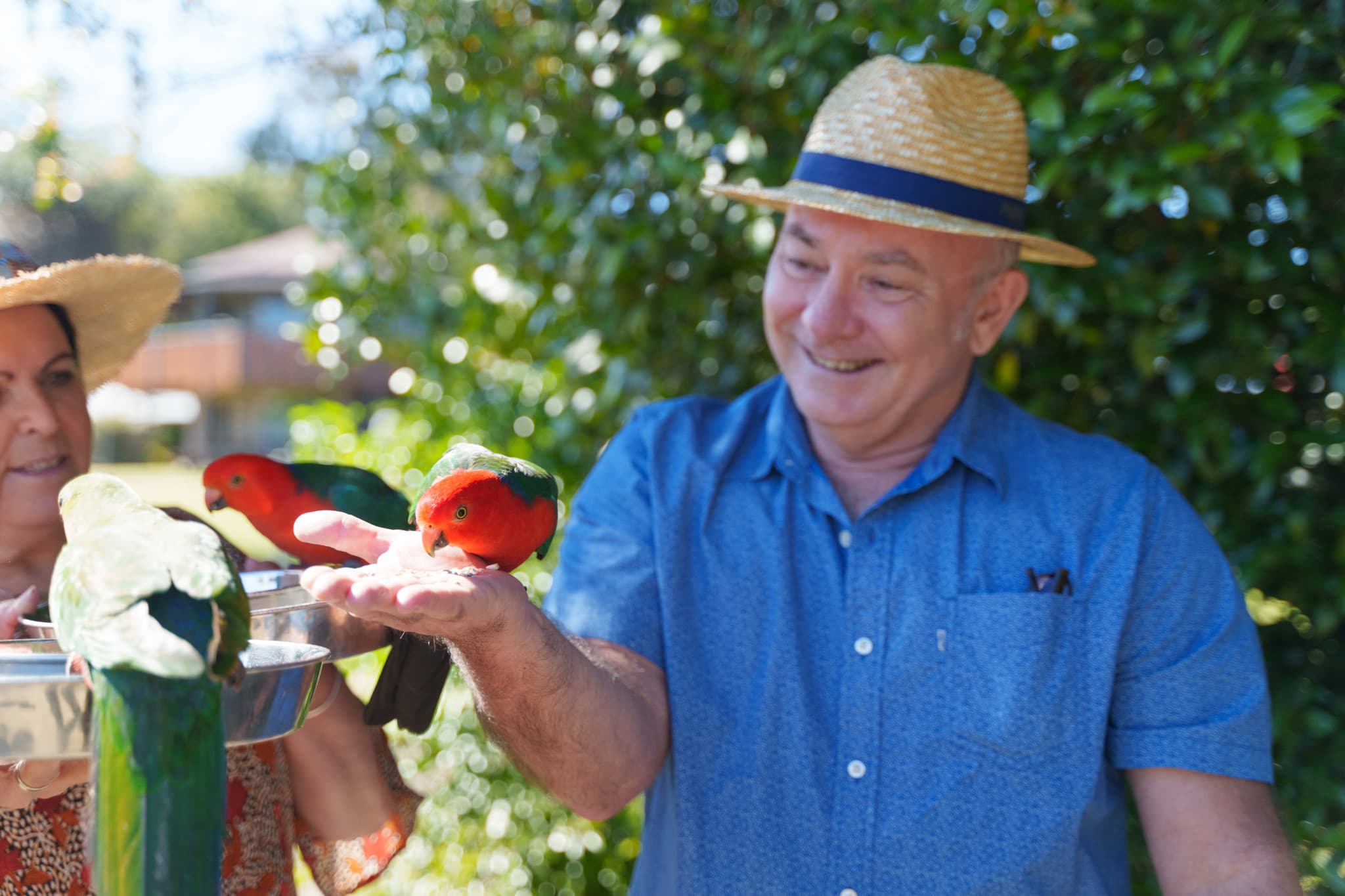 Lamington National Park Tour: O'Reilly's Rainforest Retreat and Canungra Valley Vineyard - image 14