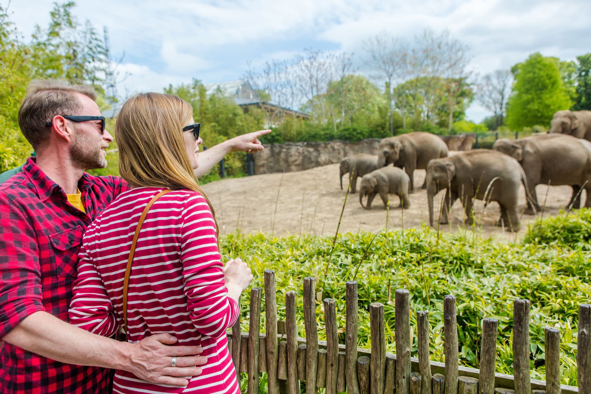 Go City Dublin All-Inclusive Pass: Save up to 50% on Attractions - image 8