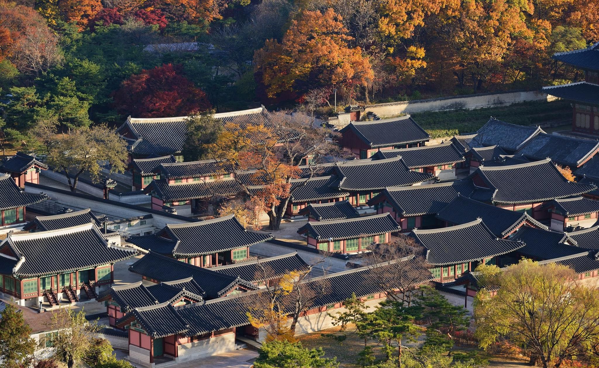 Discover Seoul Pass - image 15