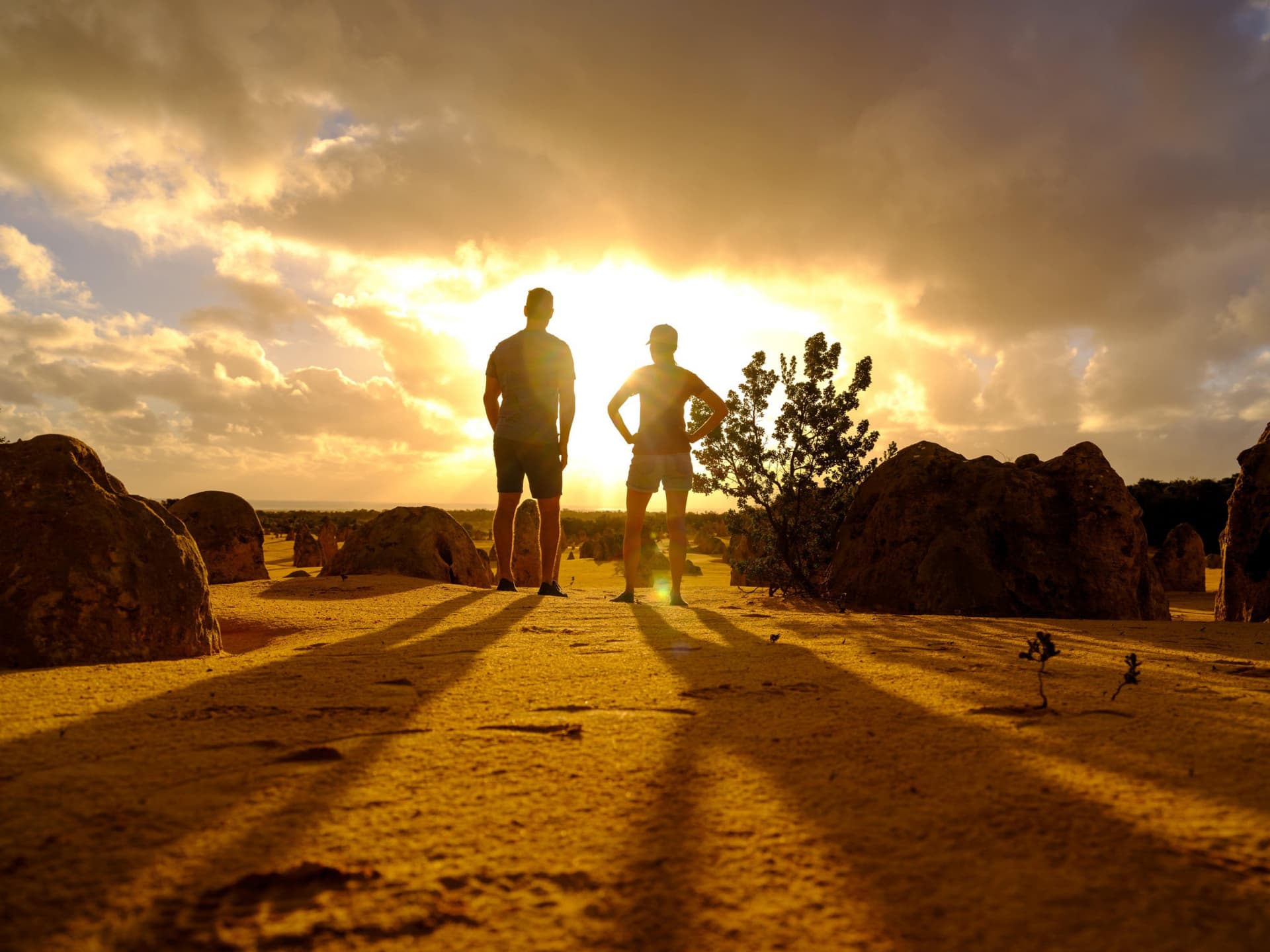 Pinnacles Desert Sunset and Stargazing Tour from Perth - main image