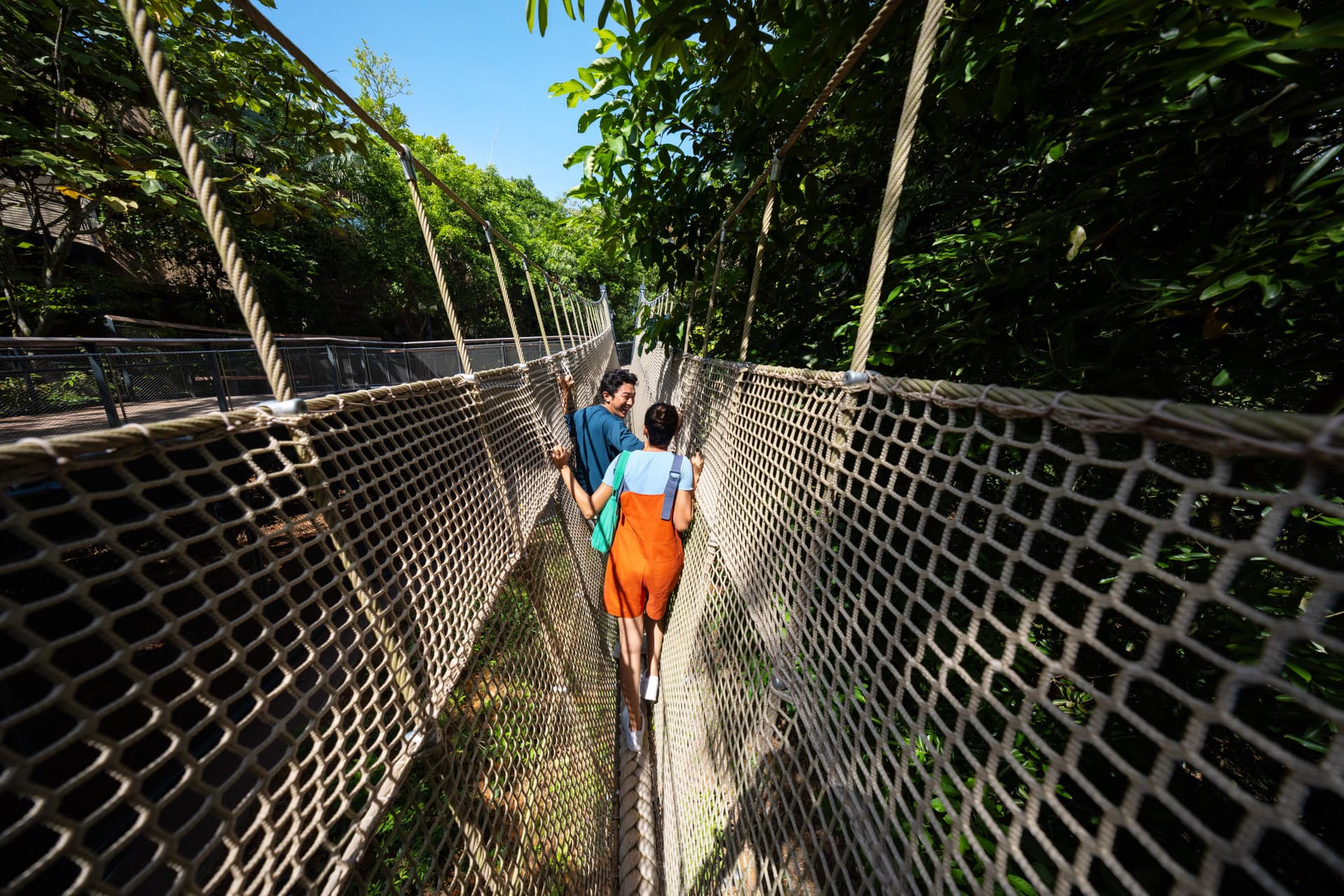Entrada para la aventura salvaje en la selva tropical - imagen 3