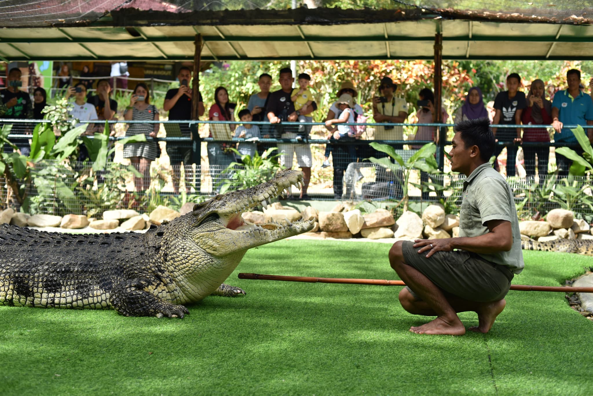 Crocodile Adventureland Langkawi - image 10