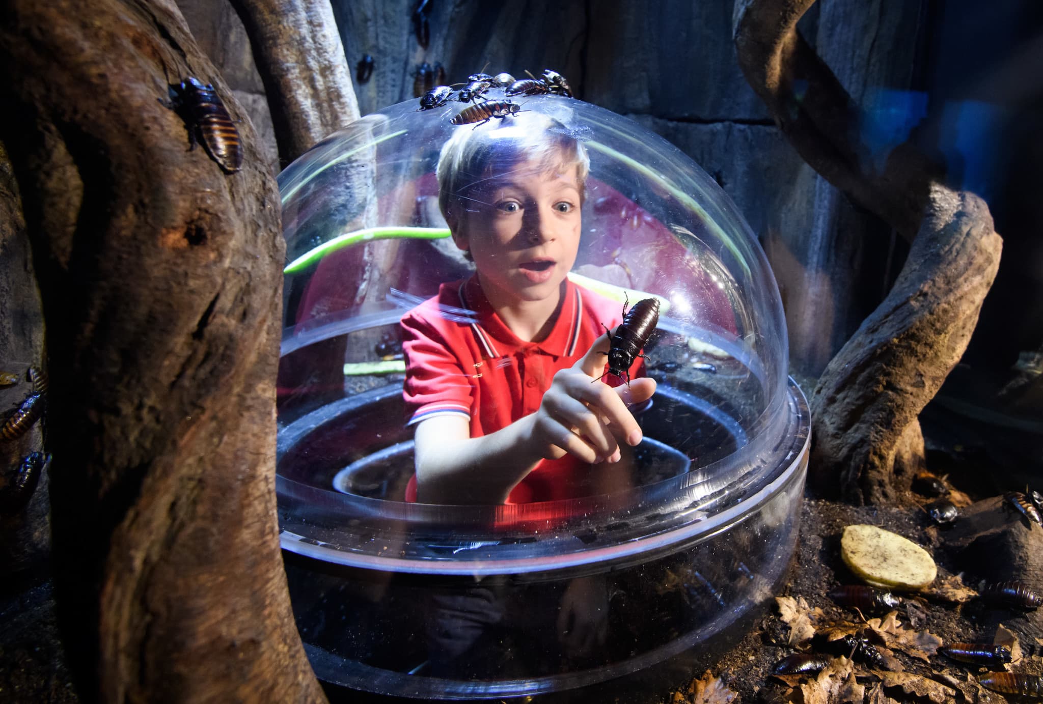 SEA LIFE London Aquarium Ticket - image 6
