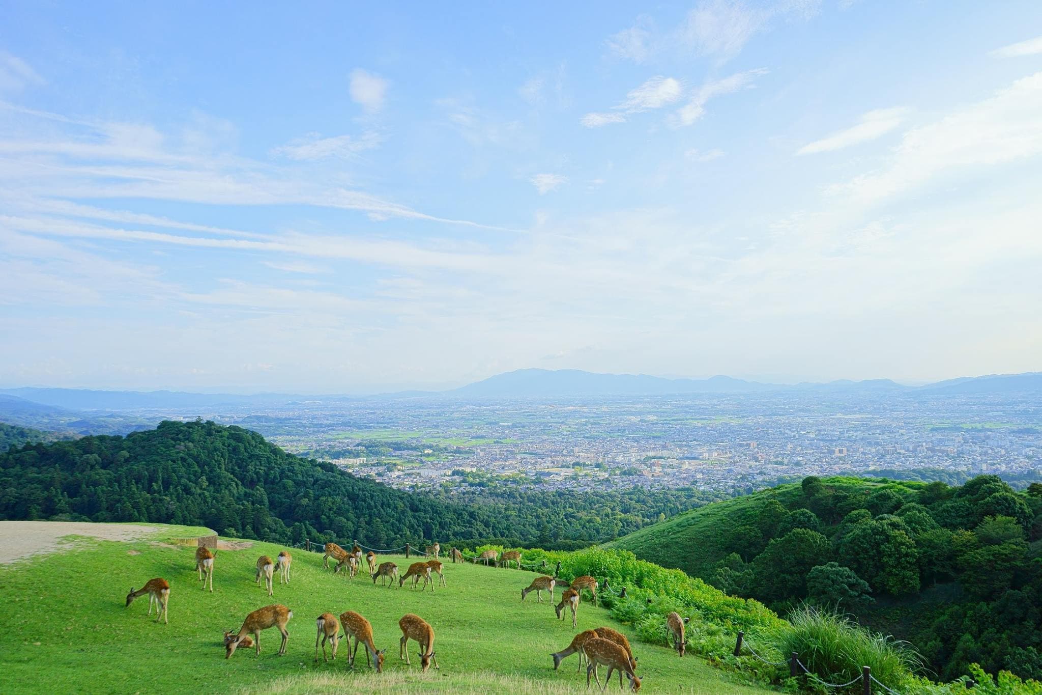 Kyoto and Nara Tour from Osaka - image 3