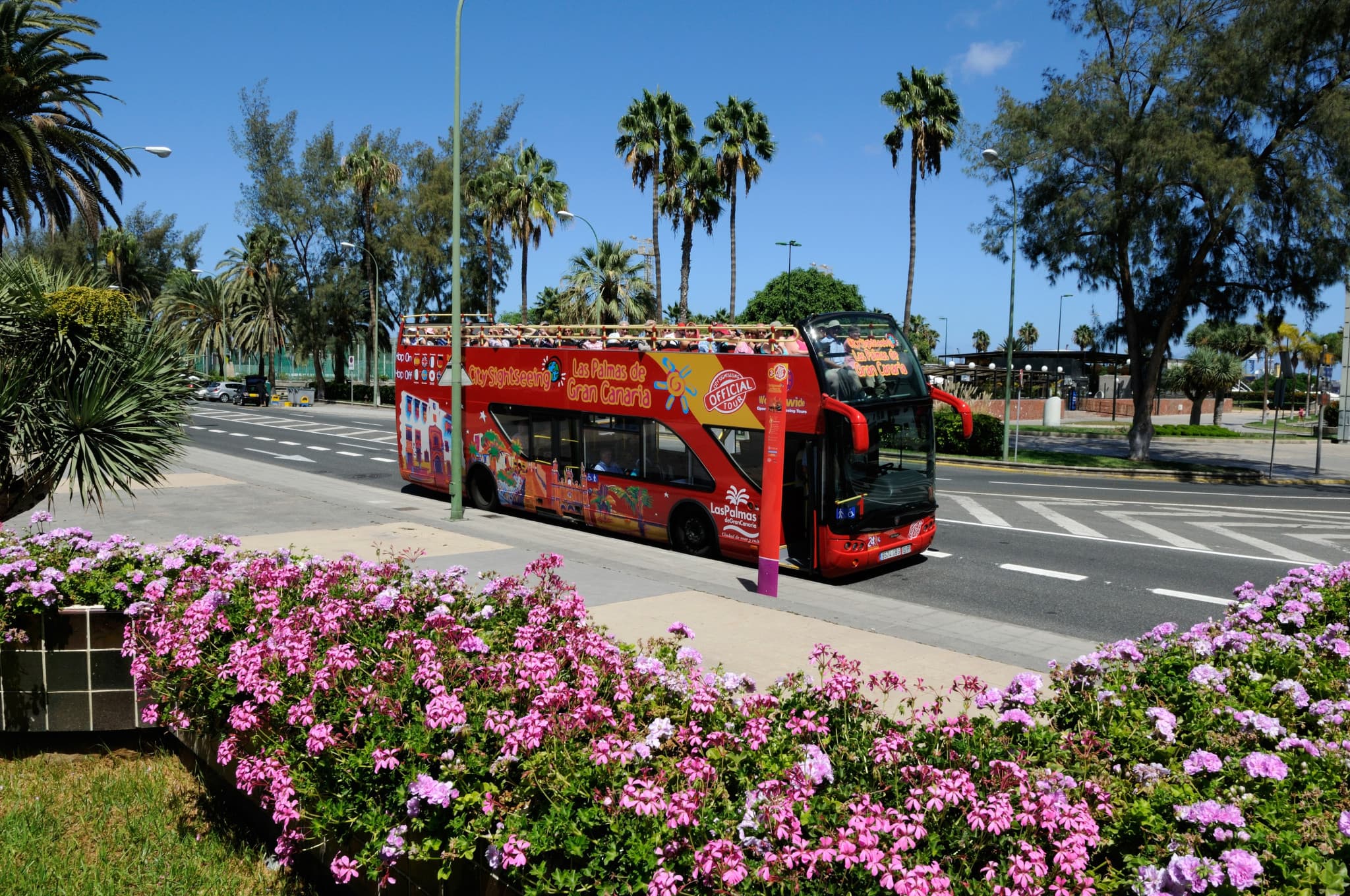 City Sightseeing Las Palmas de Gran Canaria Hop-on Hop-off Bus Tour - image 5