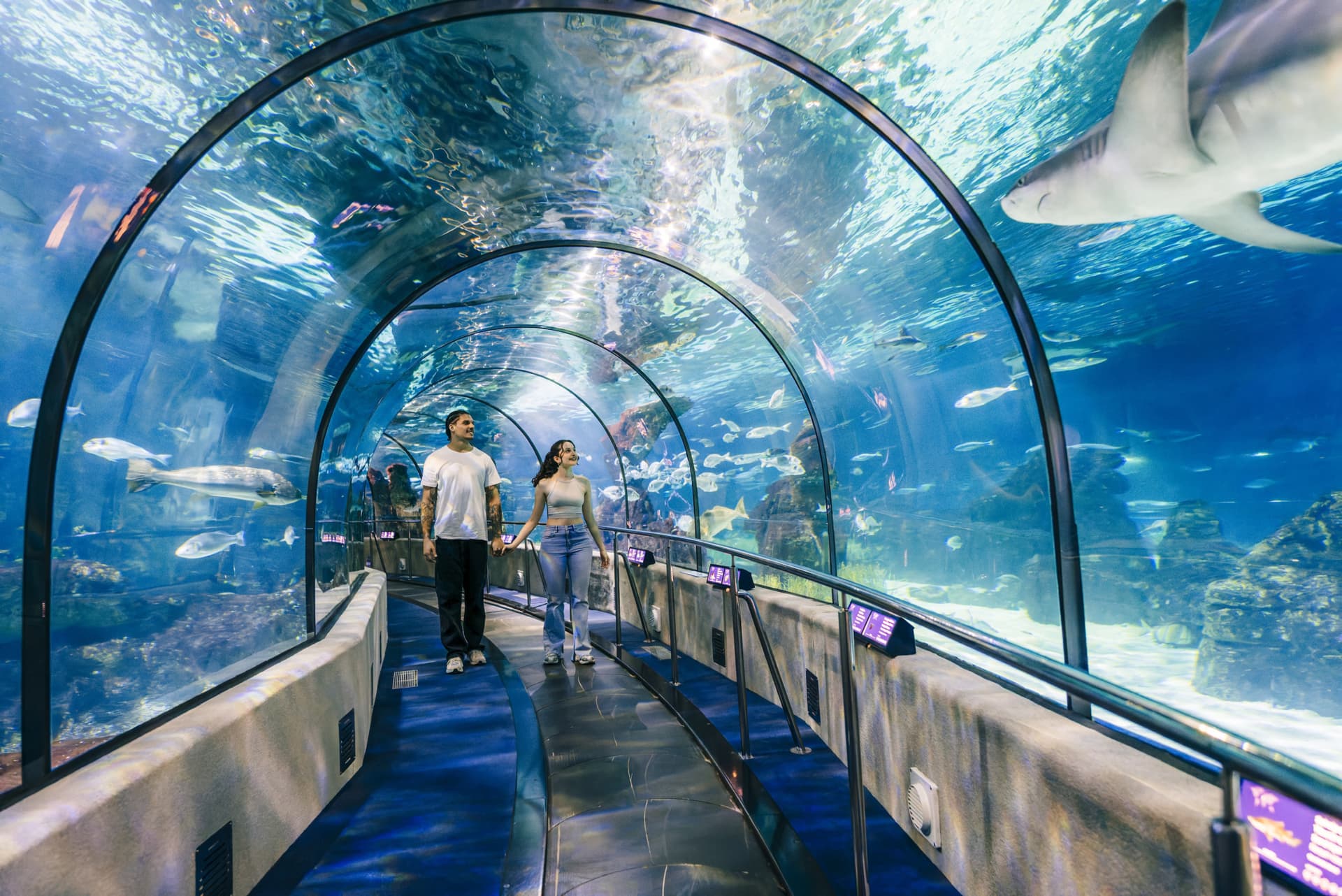 Entrada para el Acuario de Barcelona - imagen 4