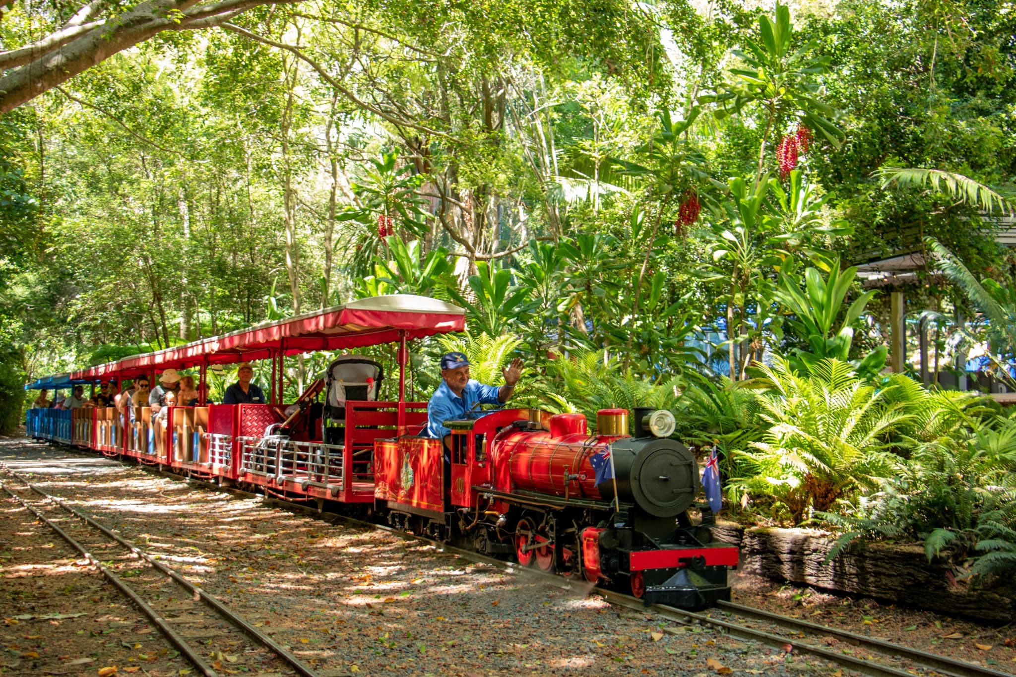 Currumbin Wildlife Sanctuary Gold Coast Ticket - image 16