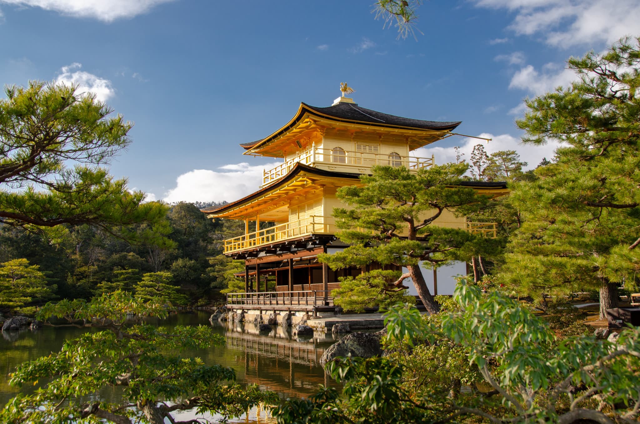 Kyoto and Nara Tour from Osaka - image 2