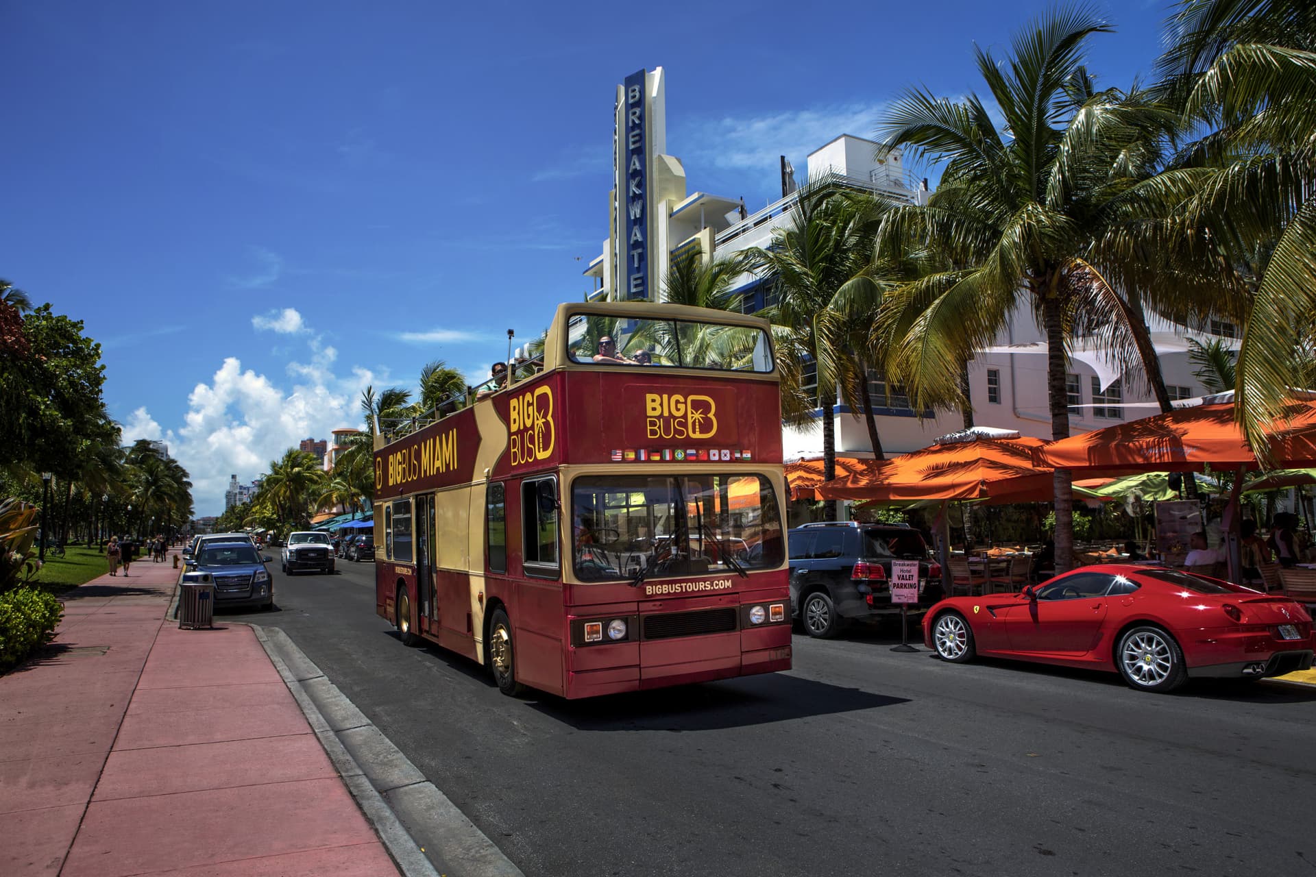 Tour en autobús Hop-on Hop-off Big Bus Miami - imagen 2