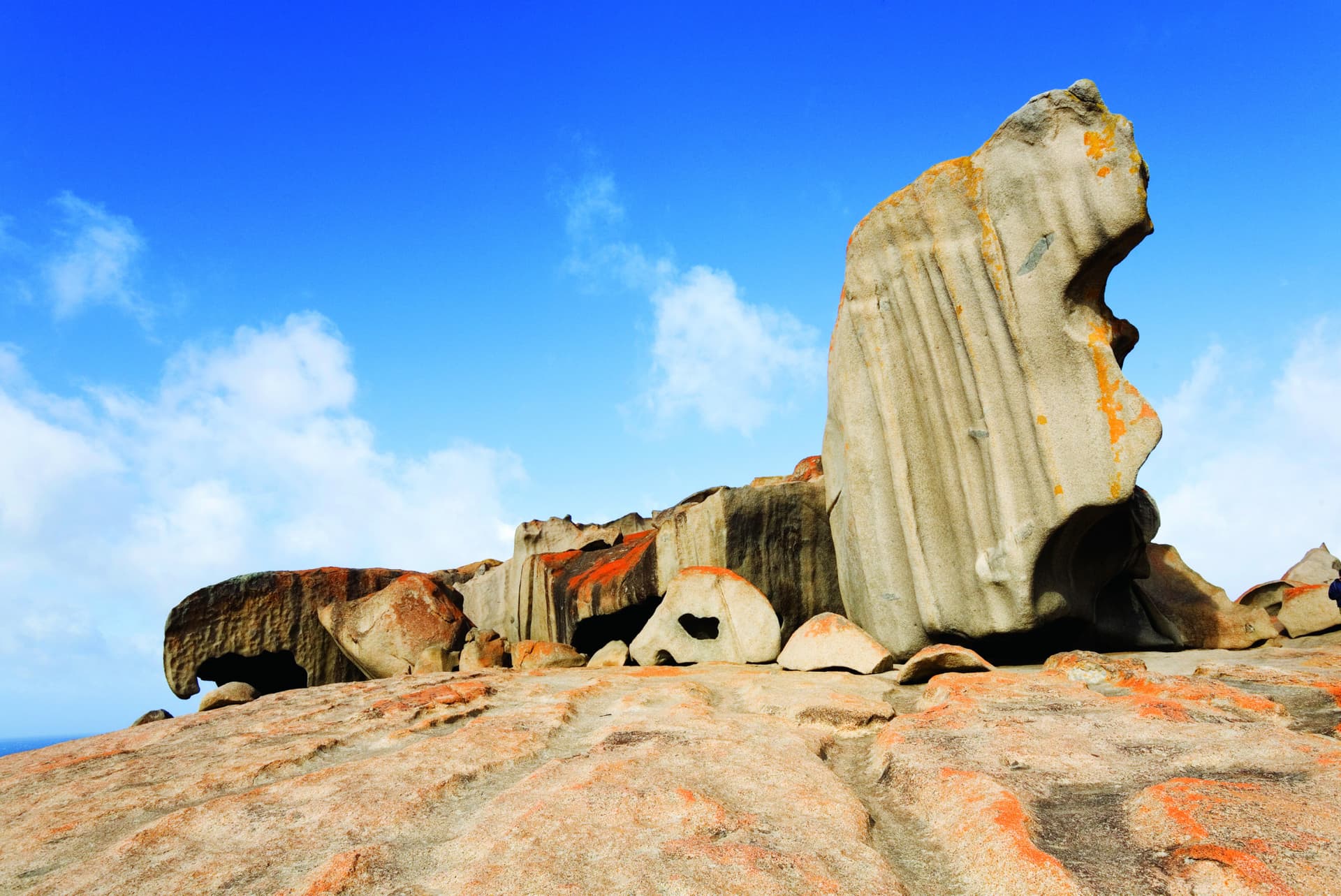 Kangaroo Island Tour from Adelaide - image 7