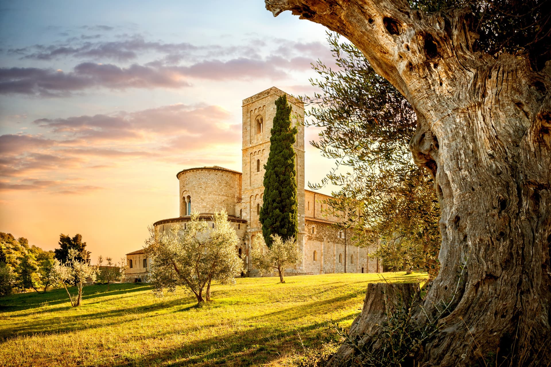 Medieval Tuscany Tour from Florence: Monteriggioni, Montalcino, Pienza - image 3