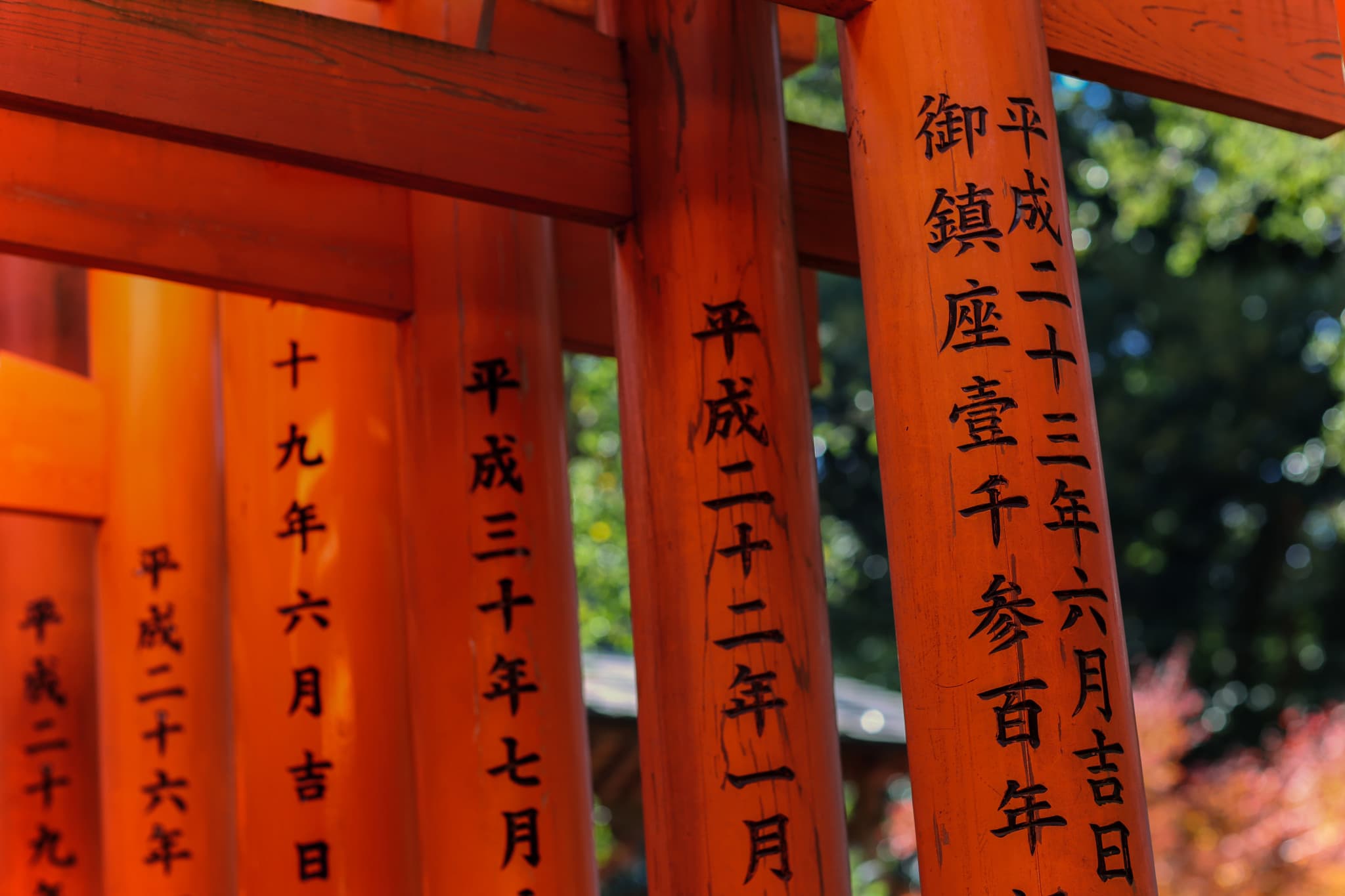 Kyoto and Nara Full-Day Tour from Osaka: Kiyomizudera Area, Fushimi Inari Taisha, Nara Park - image 6
