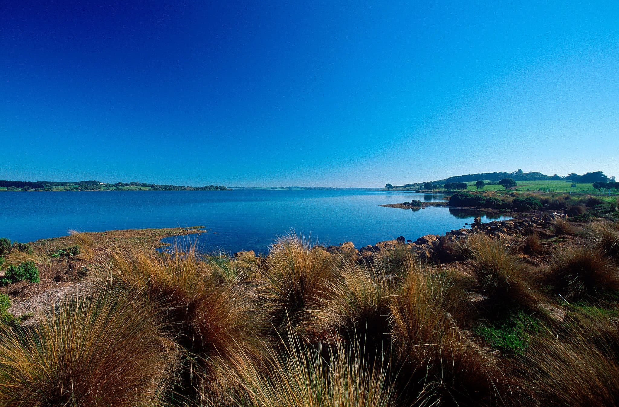 Churchill Island Ticket - image 2