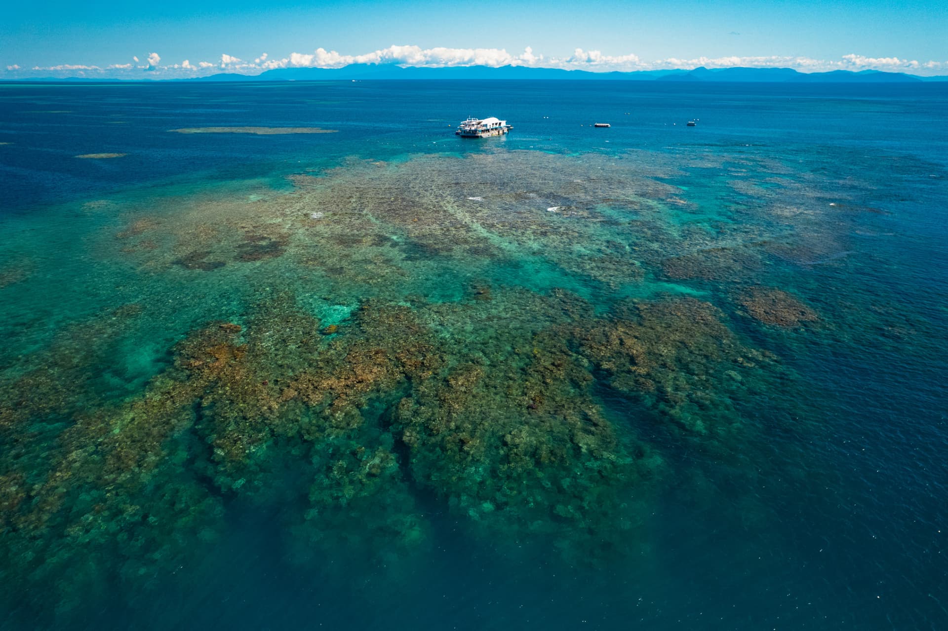 Tour Reef Magic Pontoon desde Cairns - imagen 8