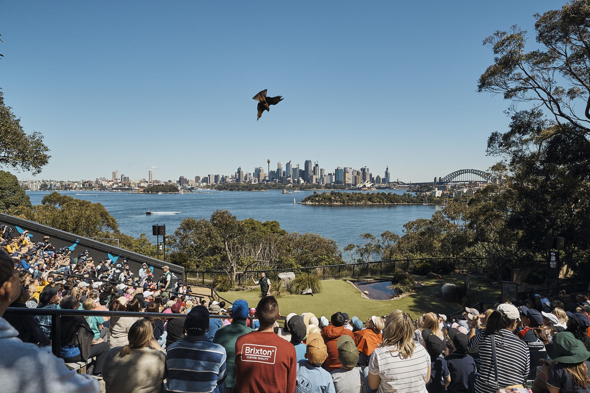 Go City Sydney Essentials Pass: 3 Attractions - image 6
