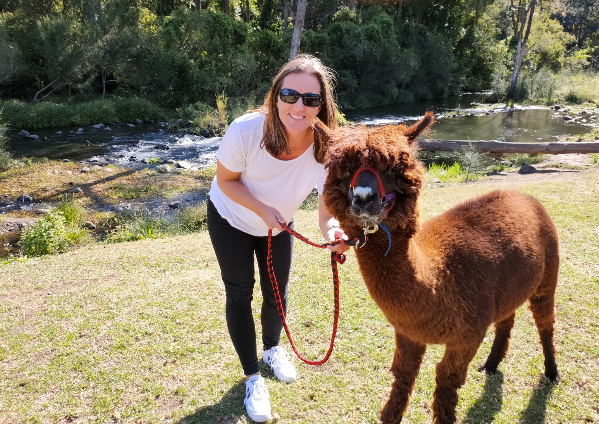 Lamington National Park Tour: O'Reilly's Rainforest Retreat and Canungra Valley Vineyard - image 13