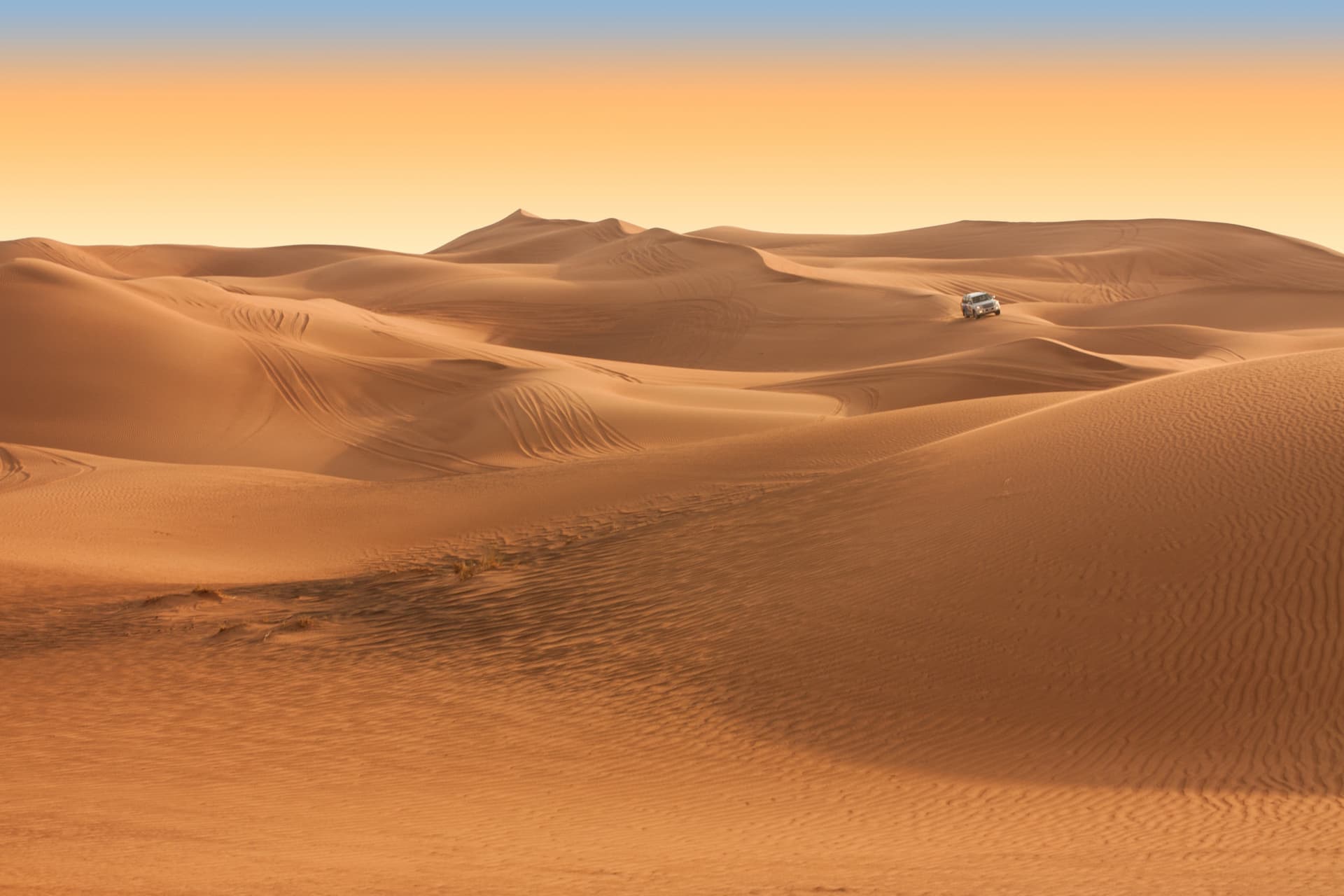 Liwa Desert Safari Tour - imagen principal