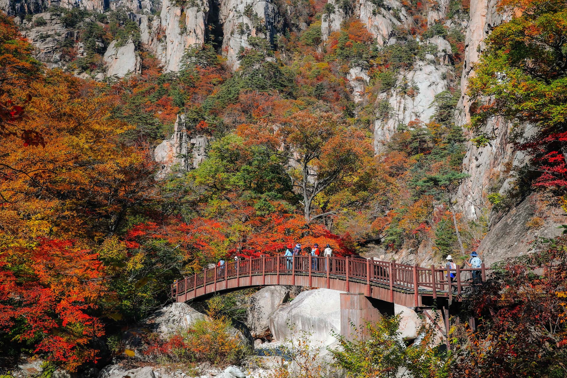 Nami Island and Mount Seorak Full-Day Tour from Seoul - 대표 이미지