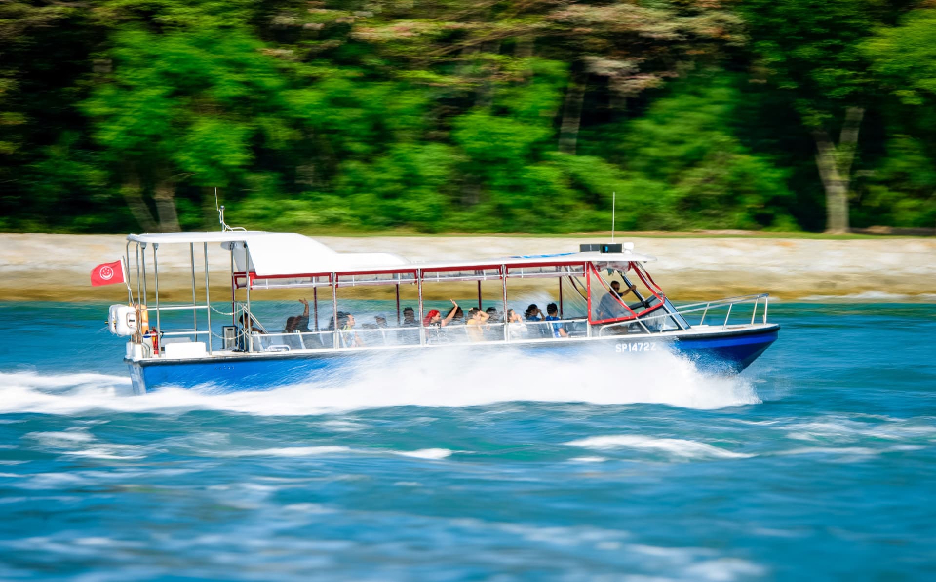 COMBO: Singapore Oceanarium + Albatross Hop-On Hop-Off Speedboat Tickets - image 8
