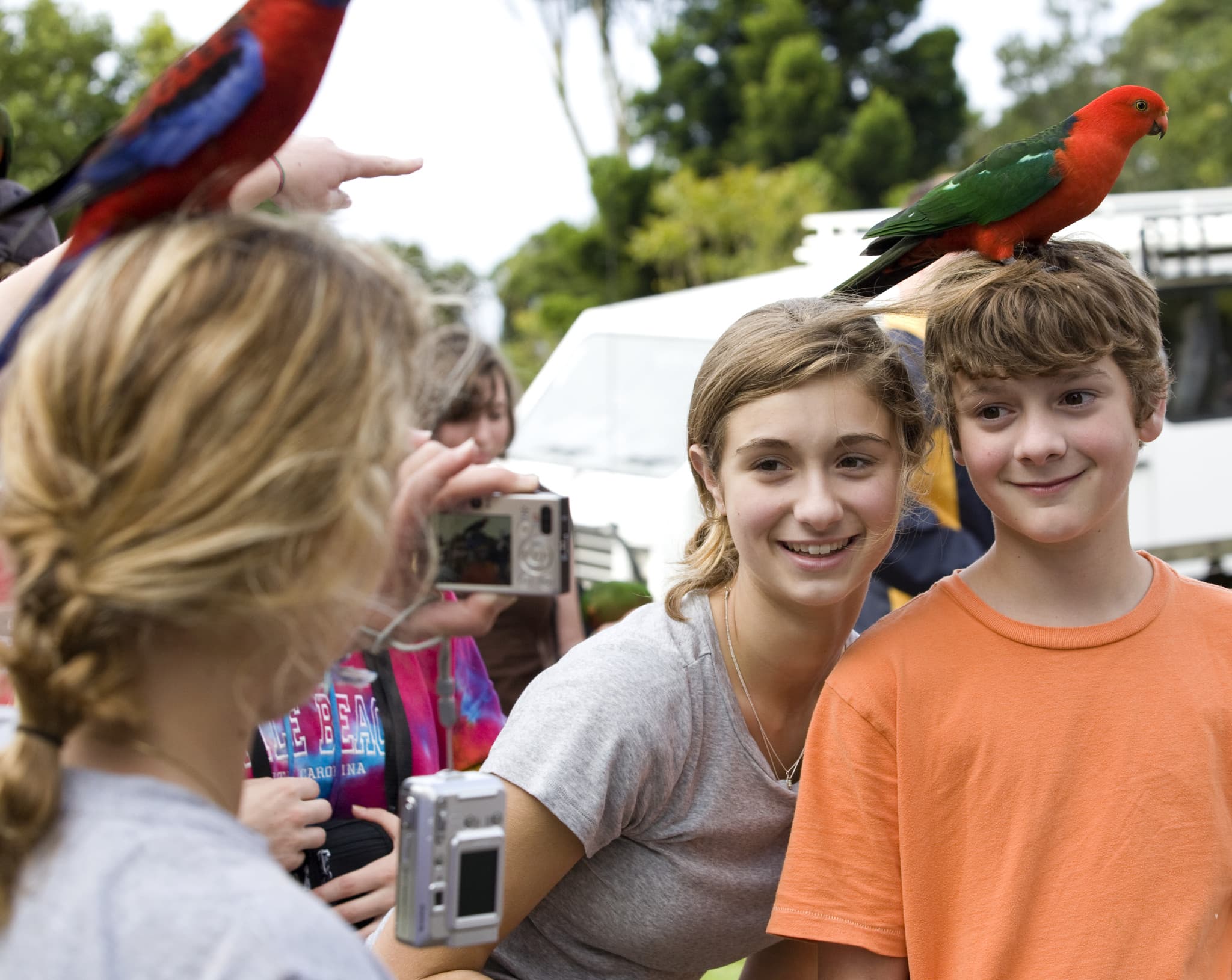 Lamington National Park Tour: O'Reilly's Rainforest Retreat and Canungra Valley Vineyard - image 16