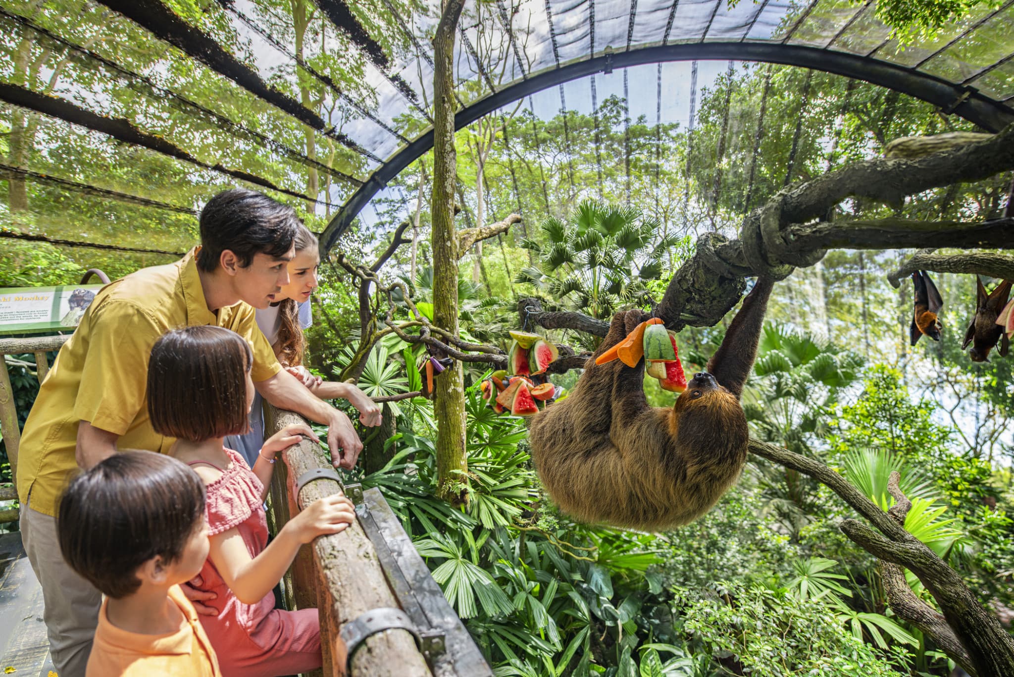 5-in-1 Day Pass: Night Safari + Singapore Zoo + Bird Paradise + River Wonders + Rainforest Adventure - image 4