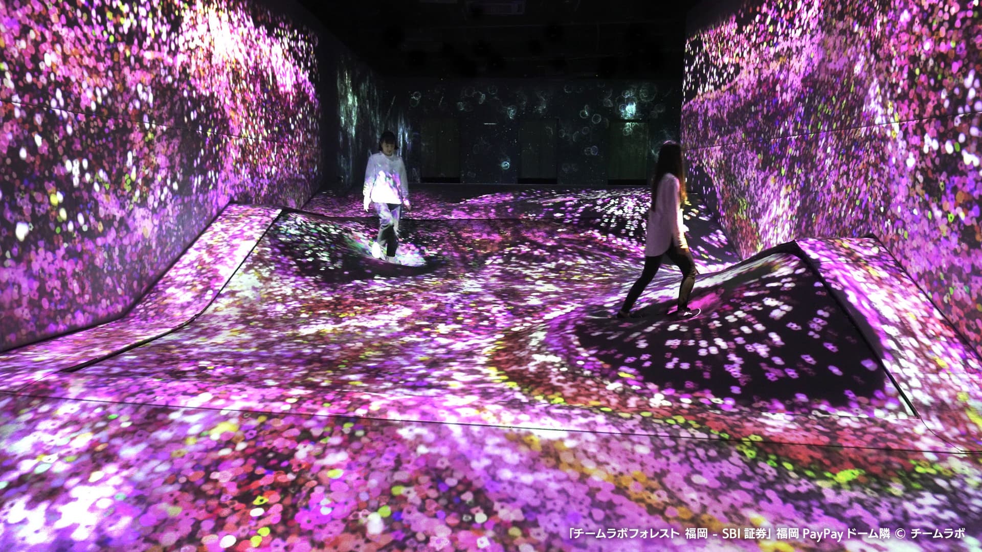 teamLab Forest Fukuoka - image 3