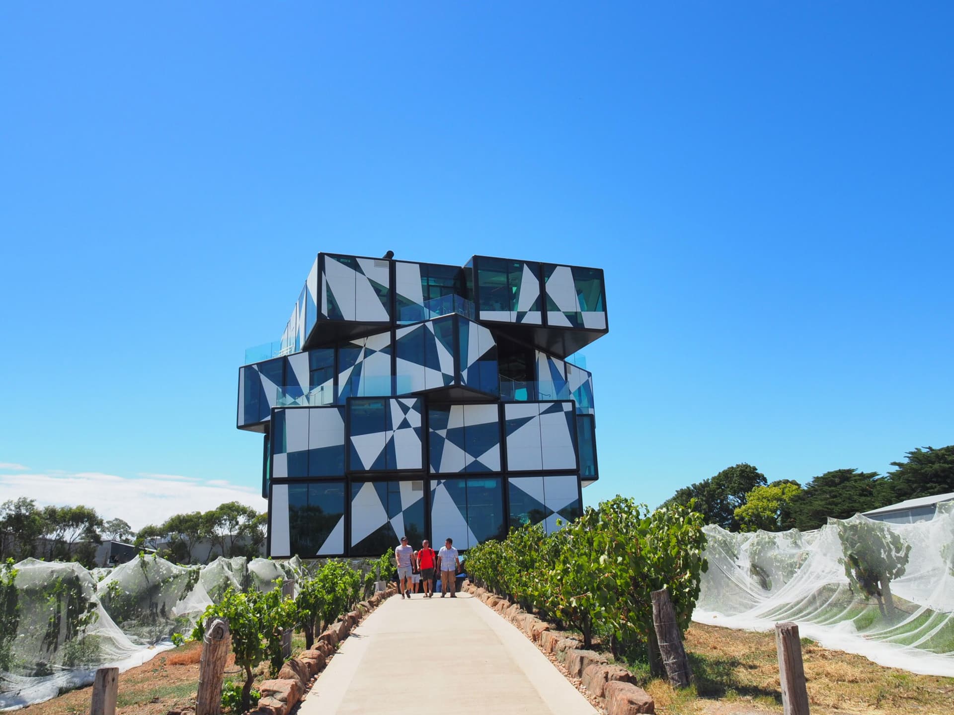 McLaren Vale and d’Arenberg Cube Wine Tasting Tour - imagen 2