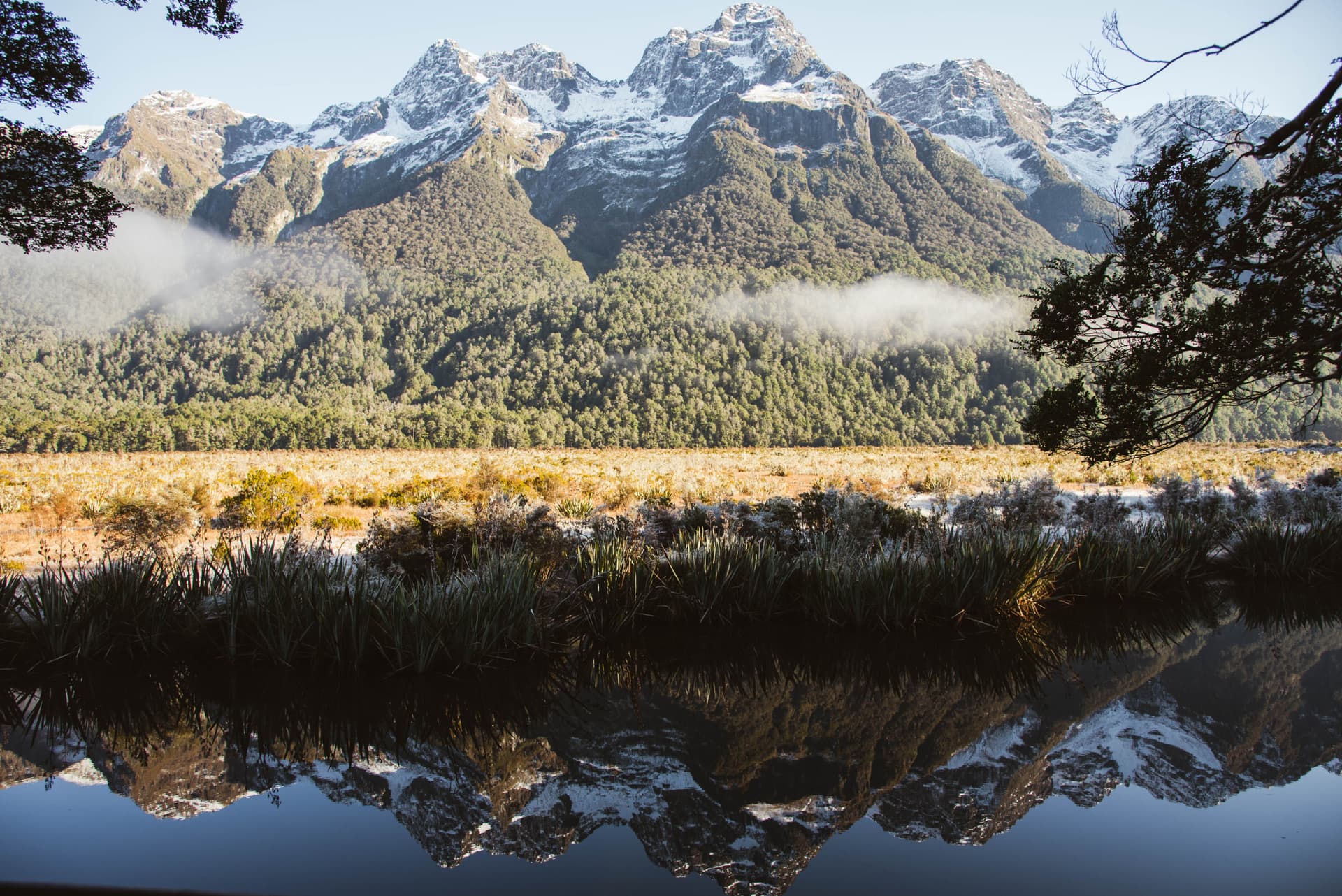 Excursión en autobús y crucero por Milford Sound desde Queenstown - imagen principal