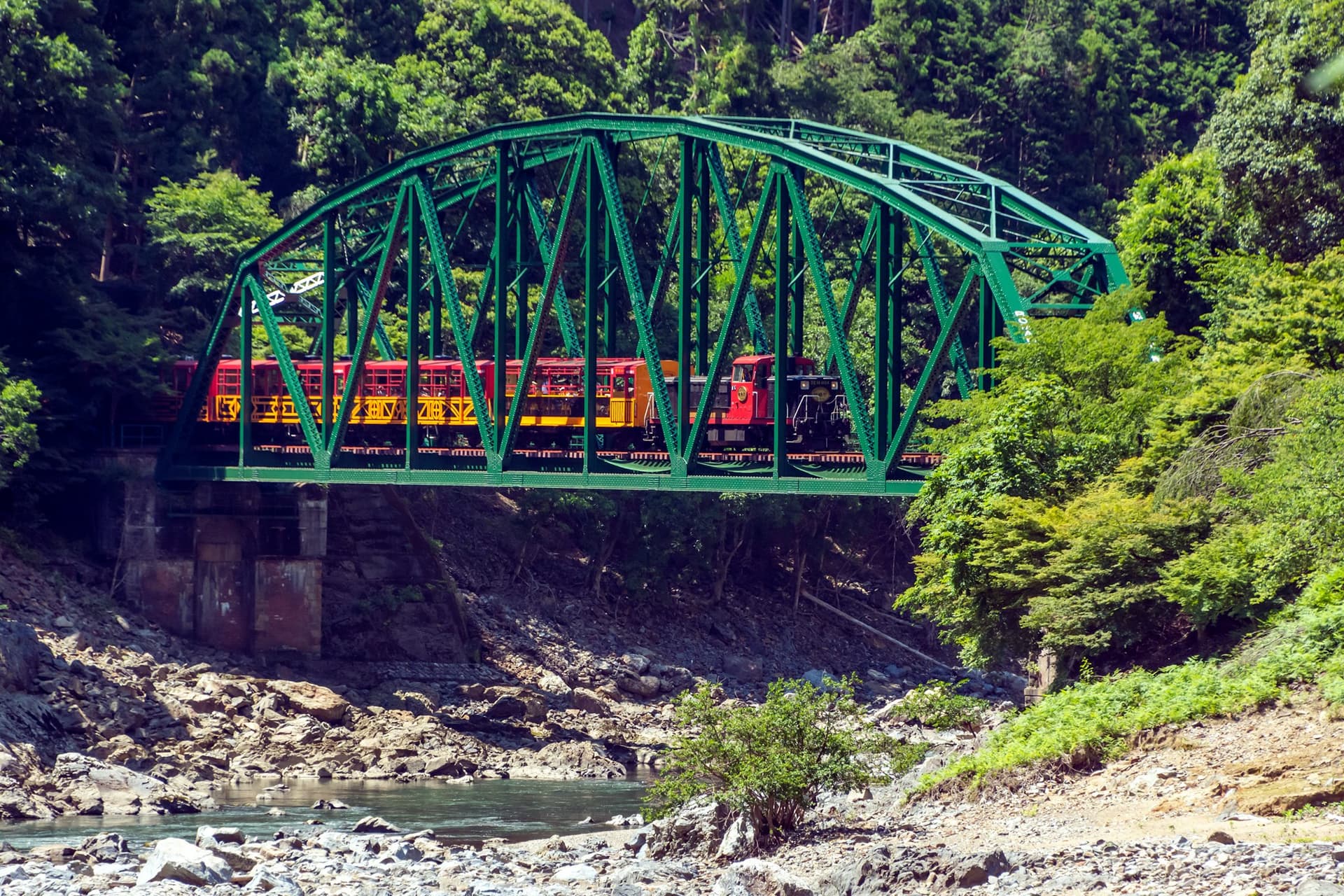 Sagano Romantic Train - image 8