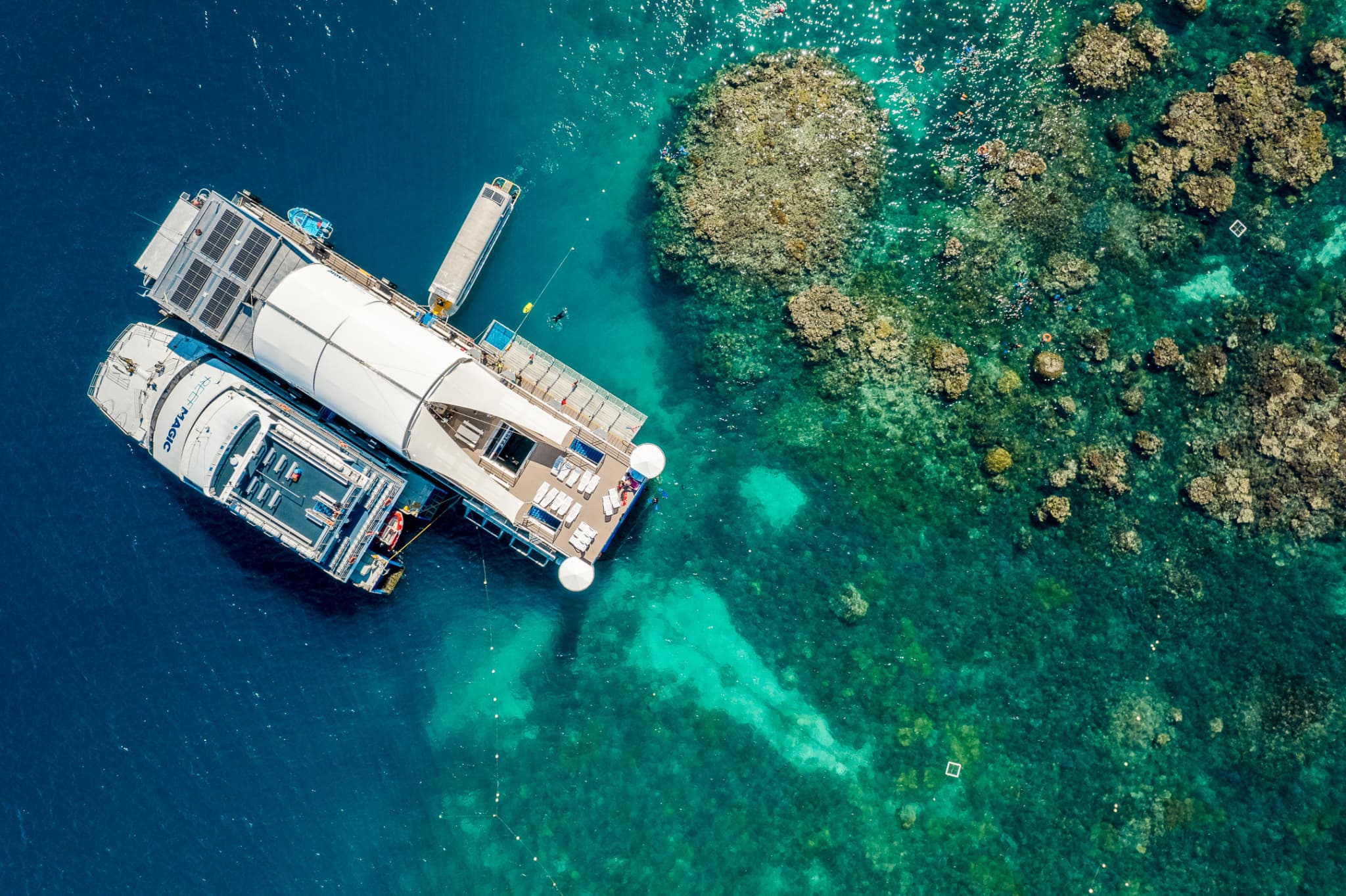Reef Magic Pontoon Tour from Cairns - image 7