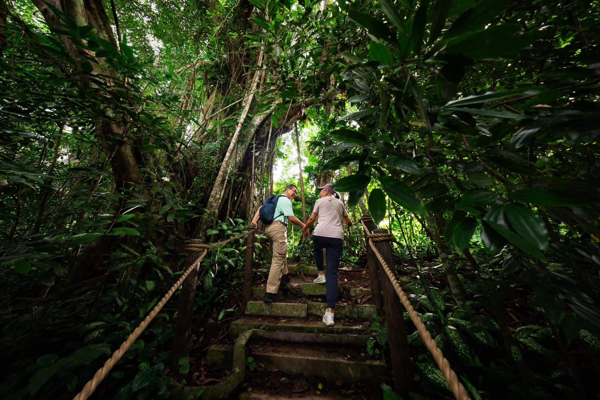 Rainforest Wild Adventure Ticket - image 2