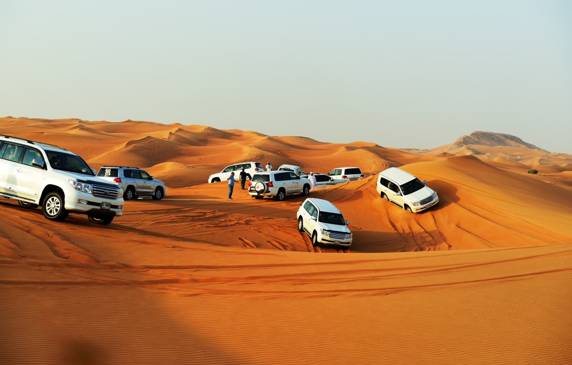 Liwa Desert Safari Tour - imagen 3