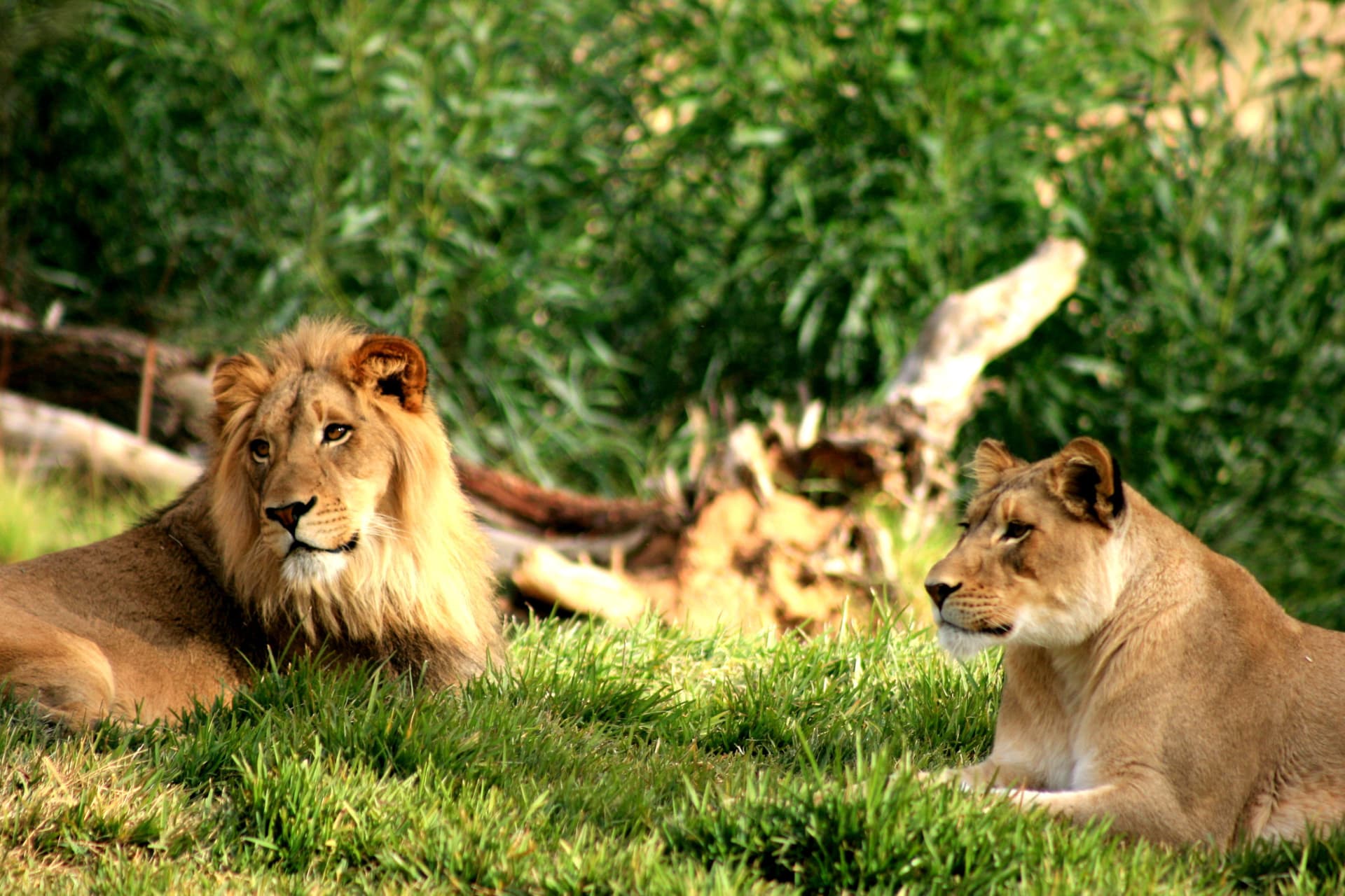Go City Philadelphia All-Inclusive Pass: Ahorre hasta un 50% en atracciones - imagen 31