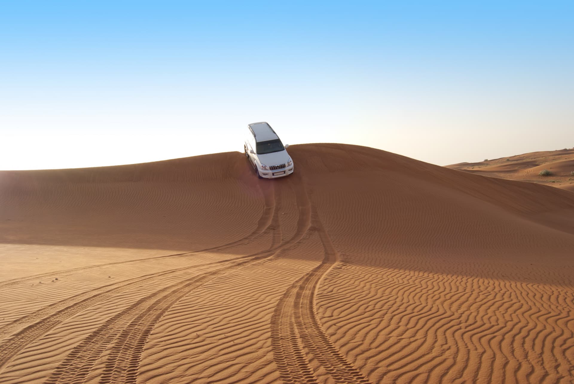 Liwa Desert Safari Tour - imagen 7