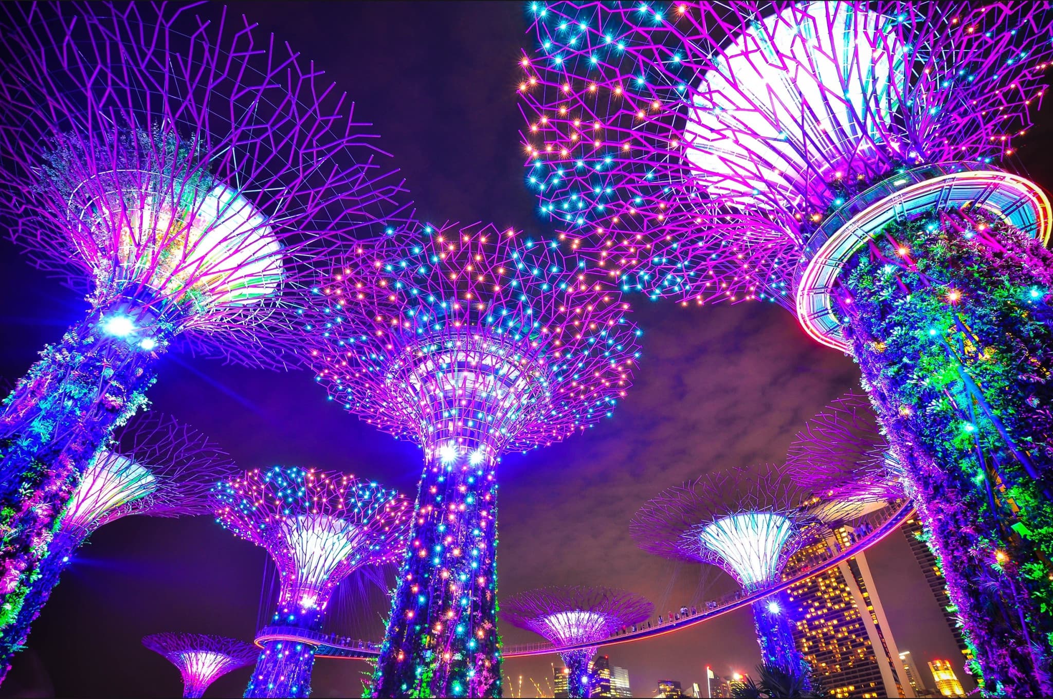 COMBO: Gardens by the Bay + ArtScience Museum Tickets - image 12