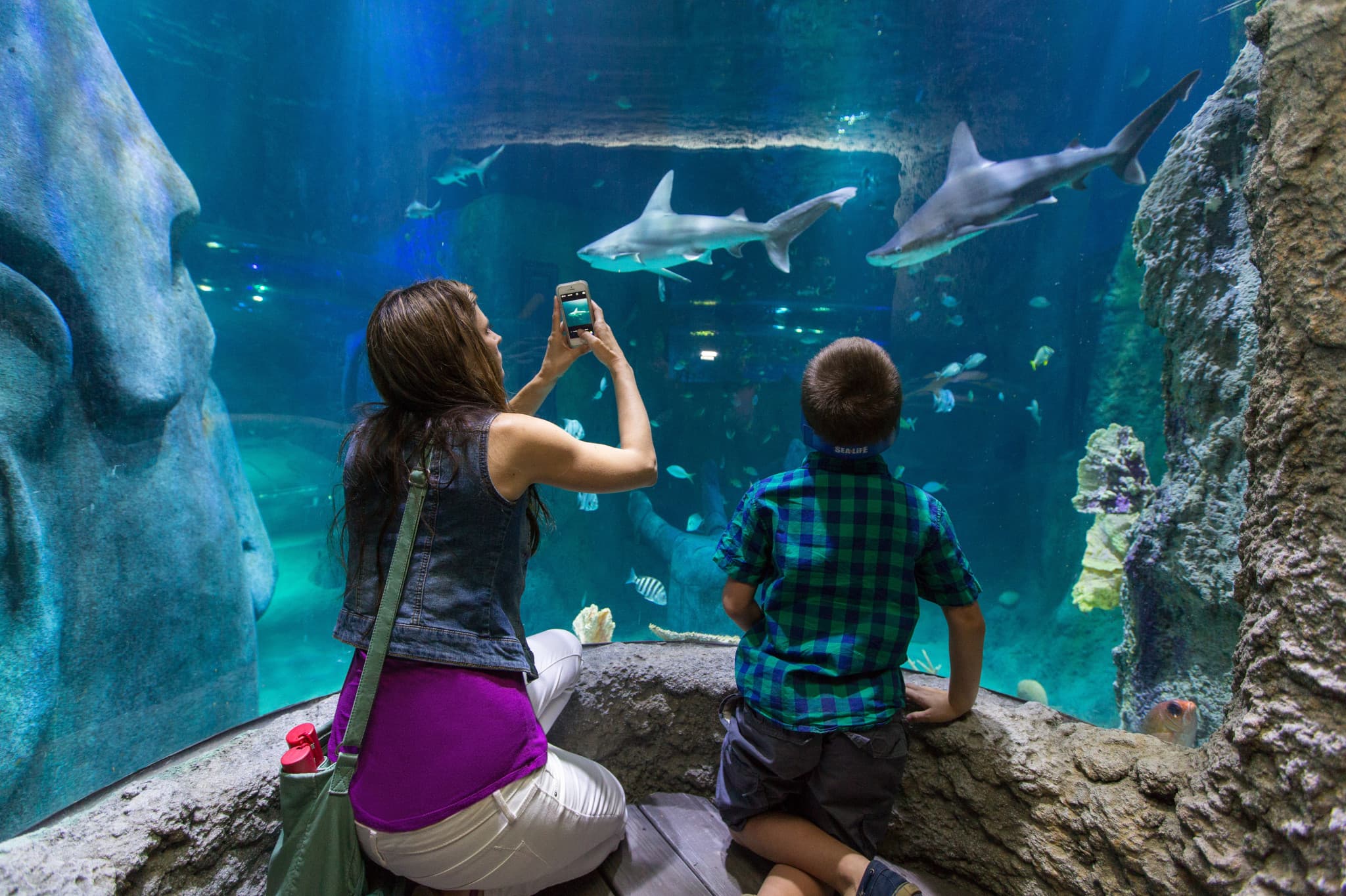 Go City Orlando All-Inclusive Pass: Save up to 50% on Attractions - image 2
