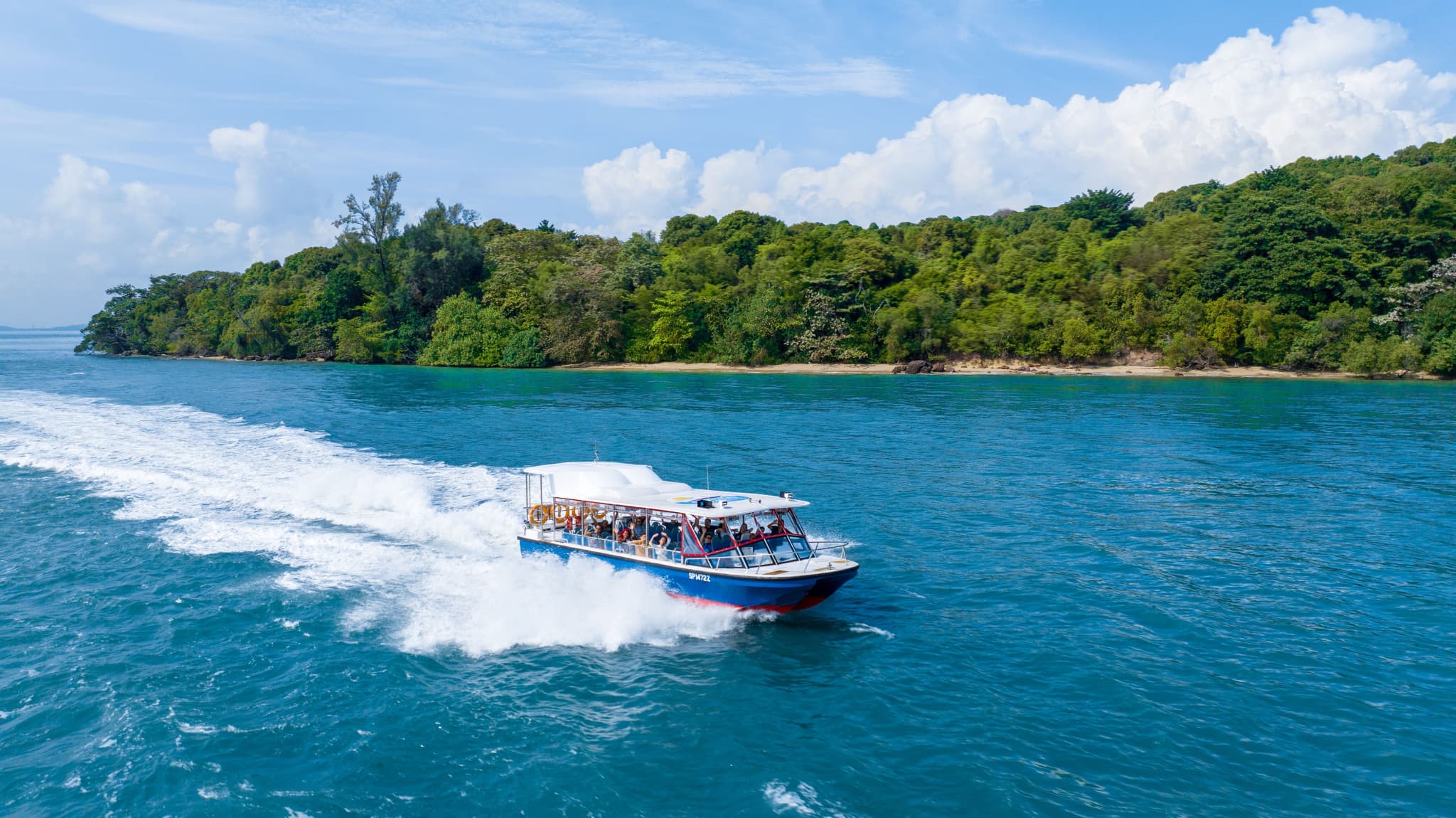 COMBO: Singapore Oceanarium + Albatross Hop-On Hop-Off Speedboat Tickets - image 6