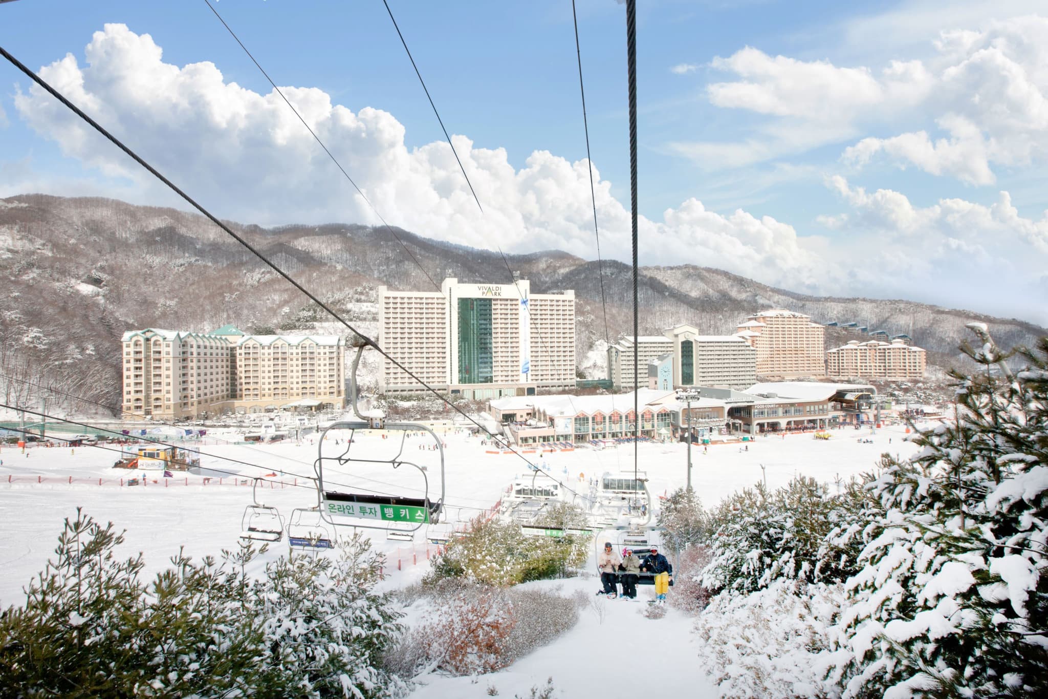 Vivaldi Park Winter Ski and Eobi Ice Valley Day Tour from Seoul - image 2